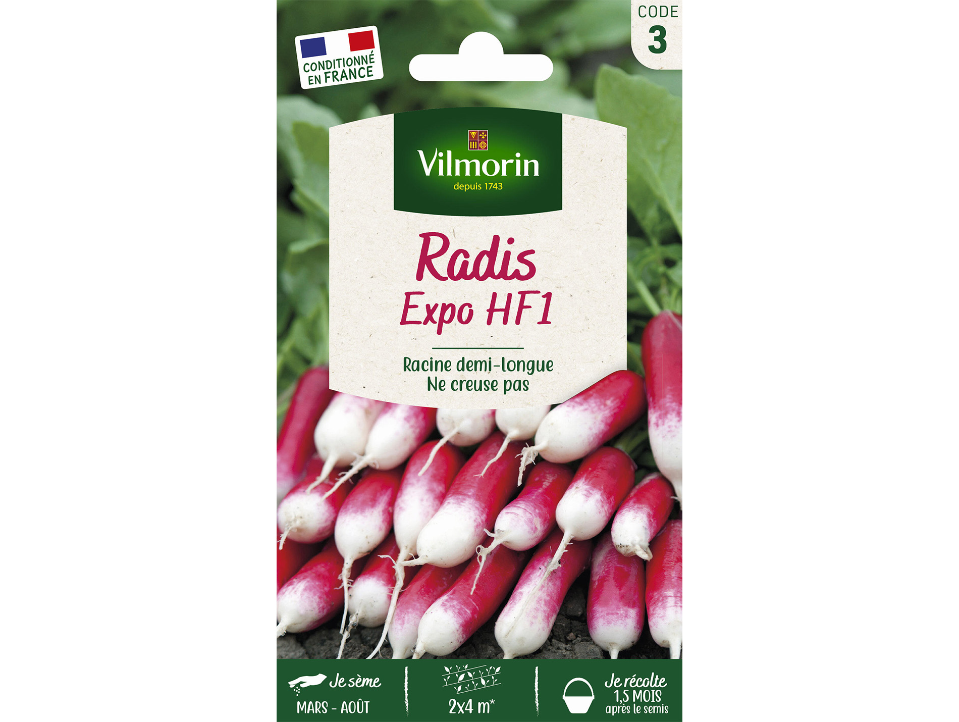 Radis Expo HF1 VILMORIN Série 3