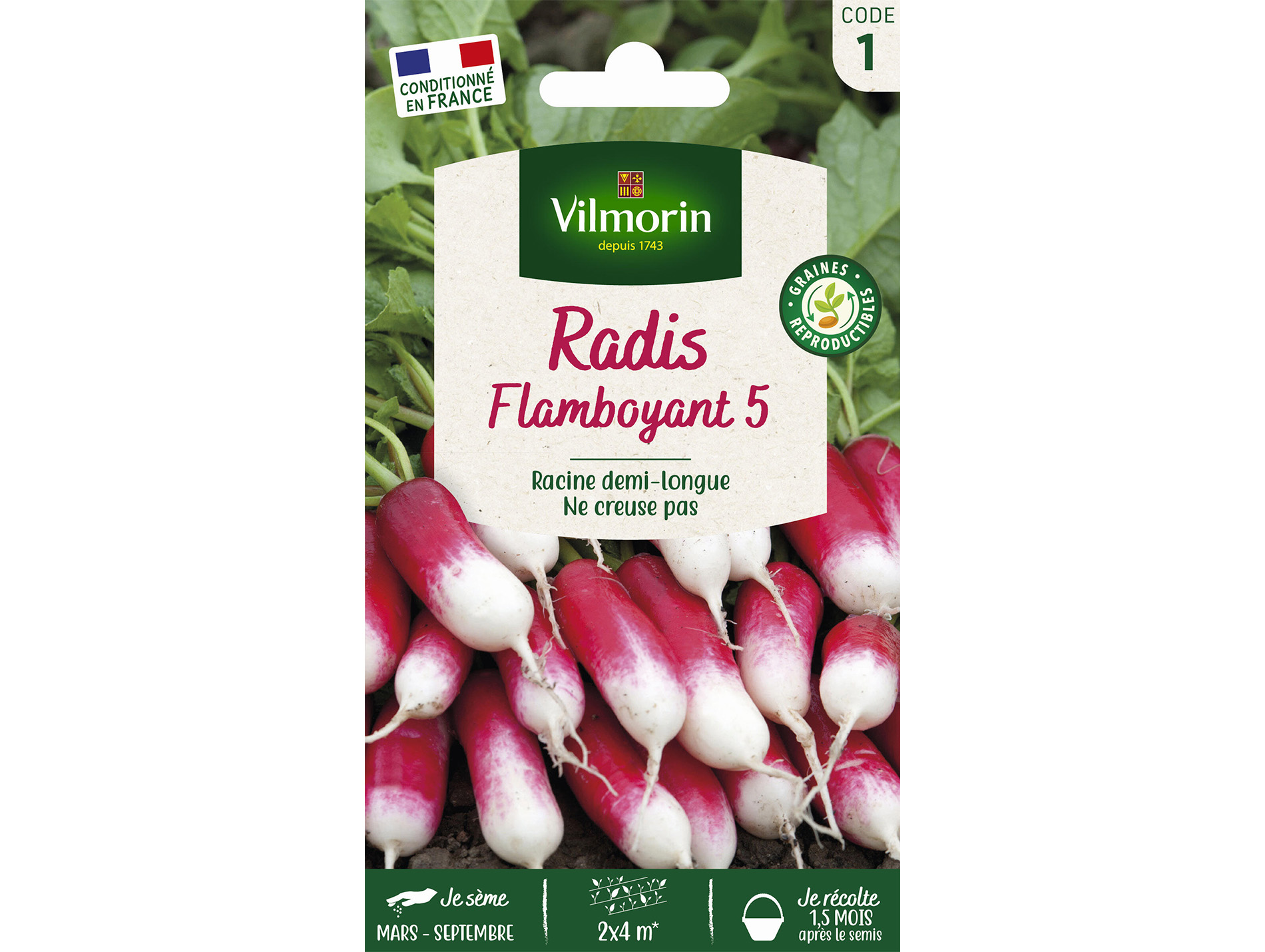 Radis Flamboyant 5 VILMORIN Série 1