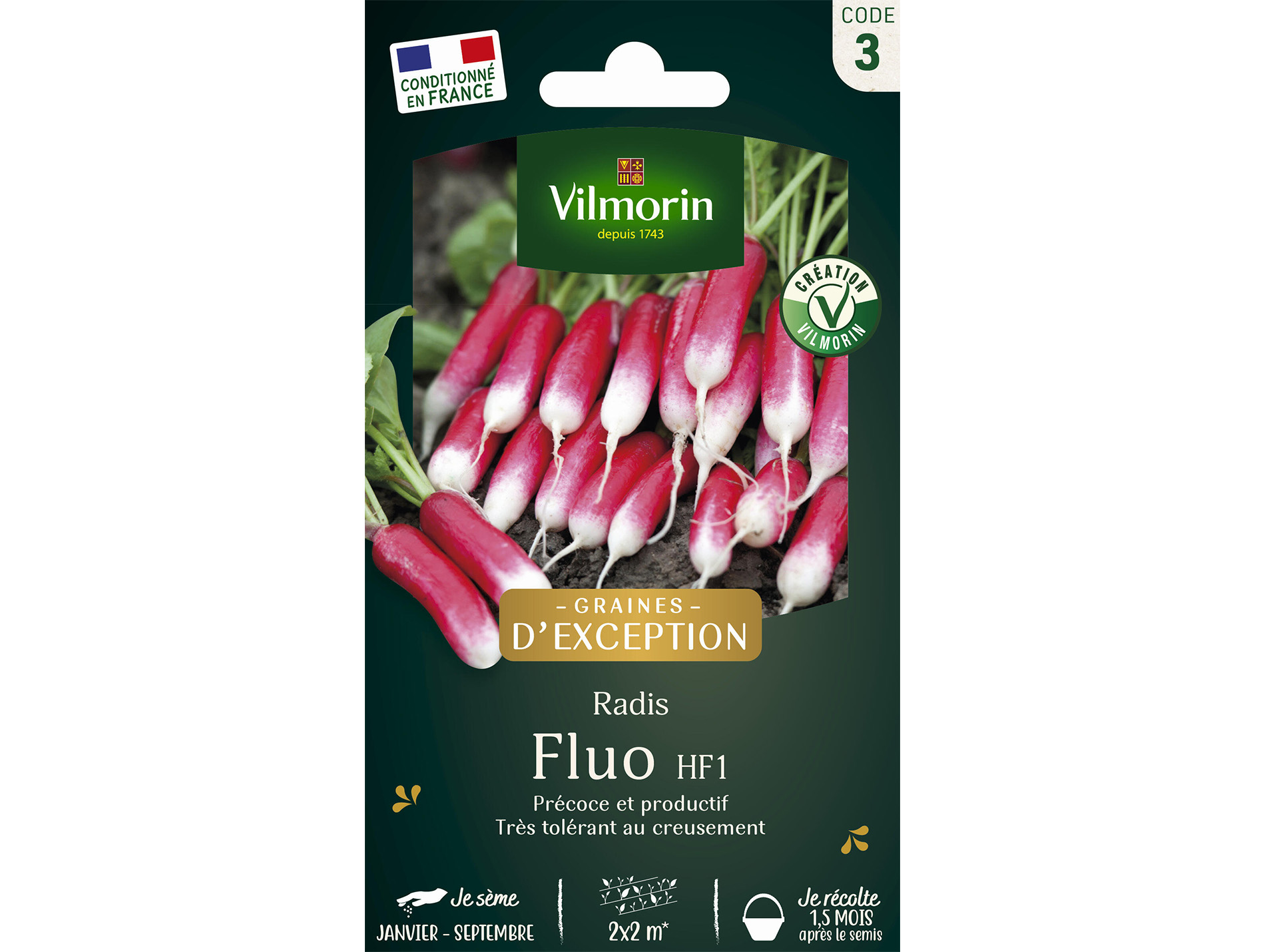 Radis Fluo F1 VILMORIN Série 3