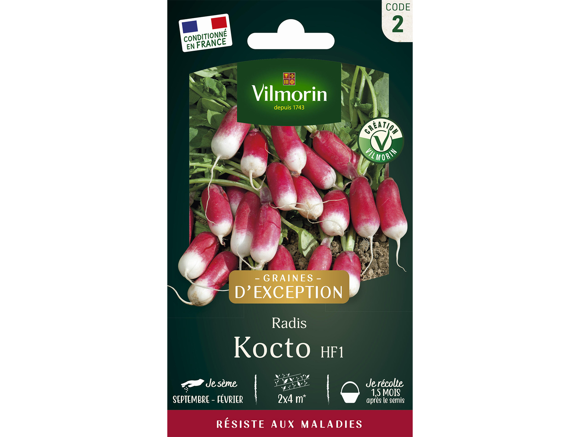 Radis Kocto HF1 VILMORIN Série 2