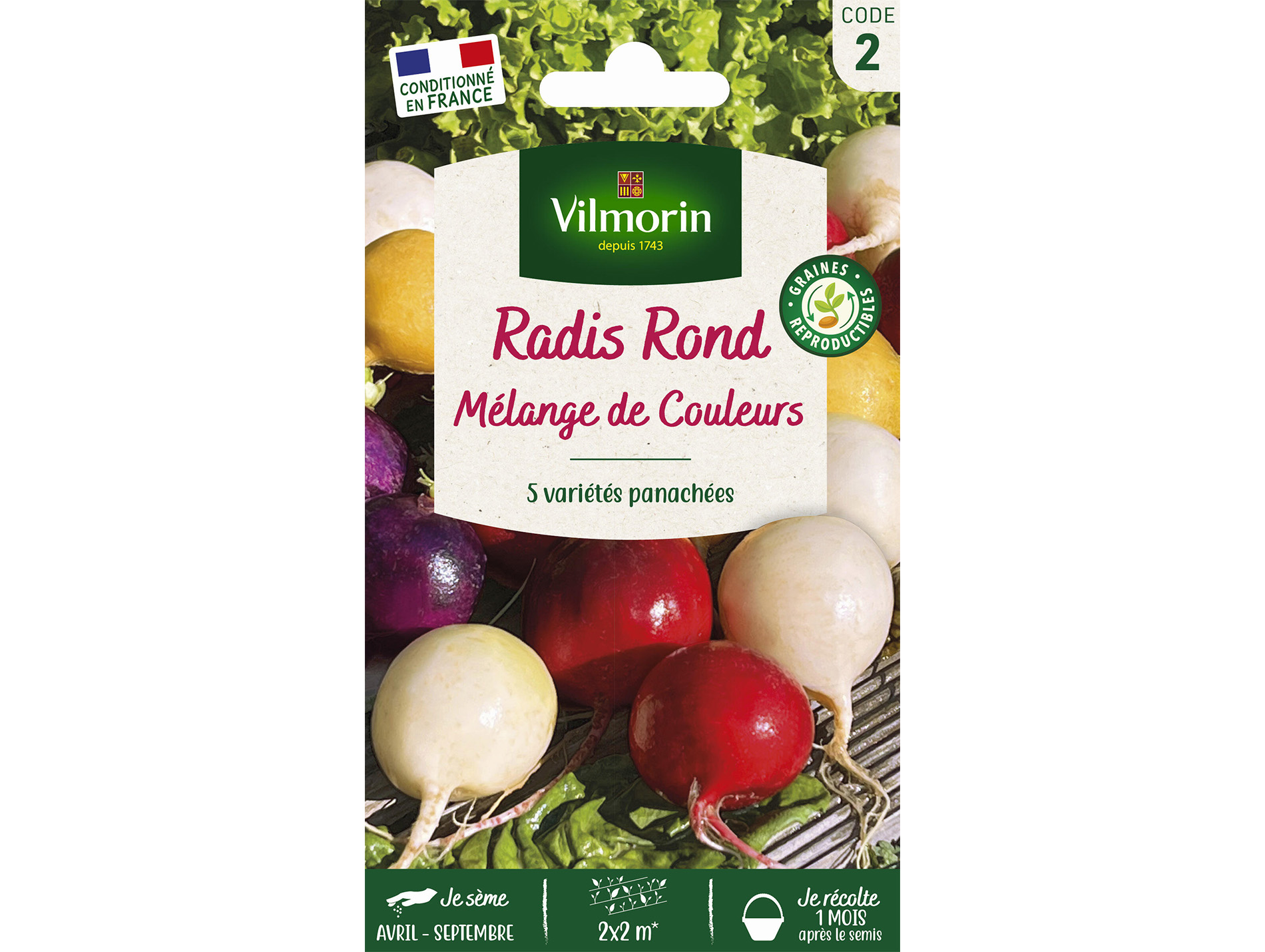 Radis Ronds mélange de couleurs VILMORIN Série 2