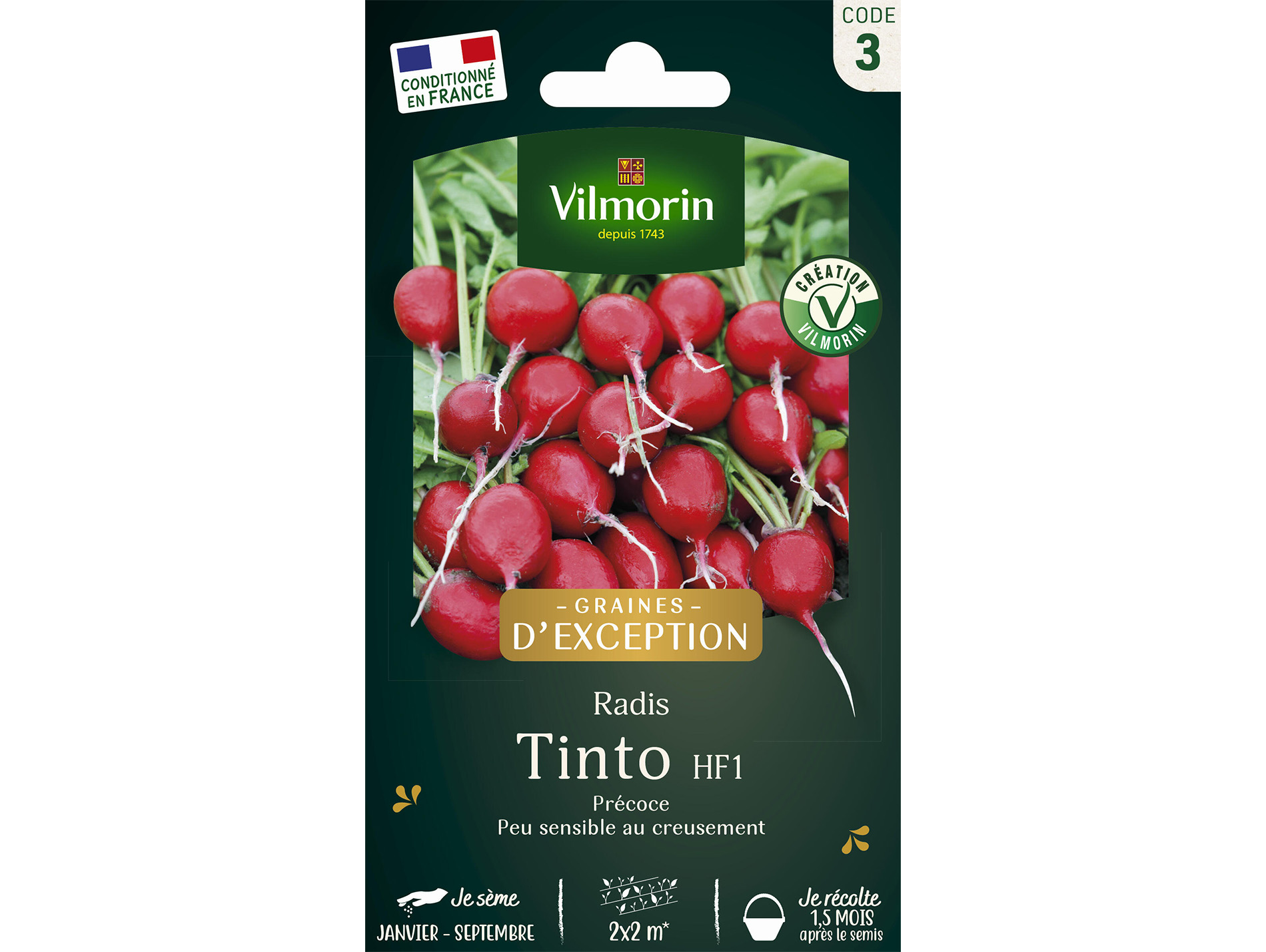 Radis Tinto HF1 VILMORIN Série 3