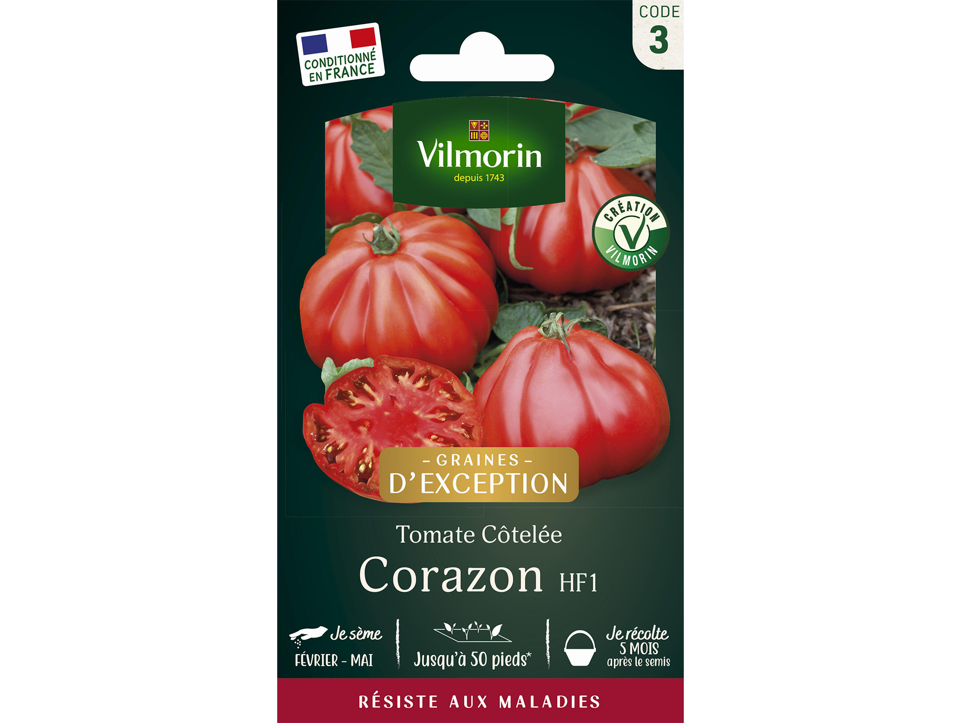 Tomate Coeur de Boeuf Corazon HF1 VILMORIN Série 3