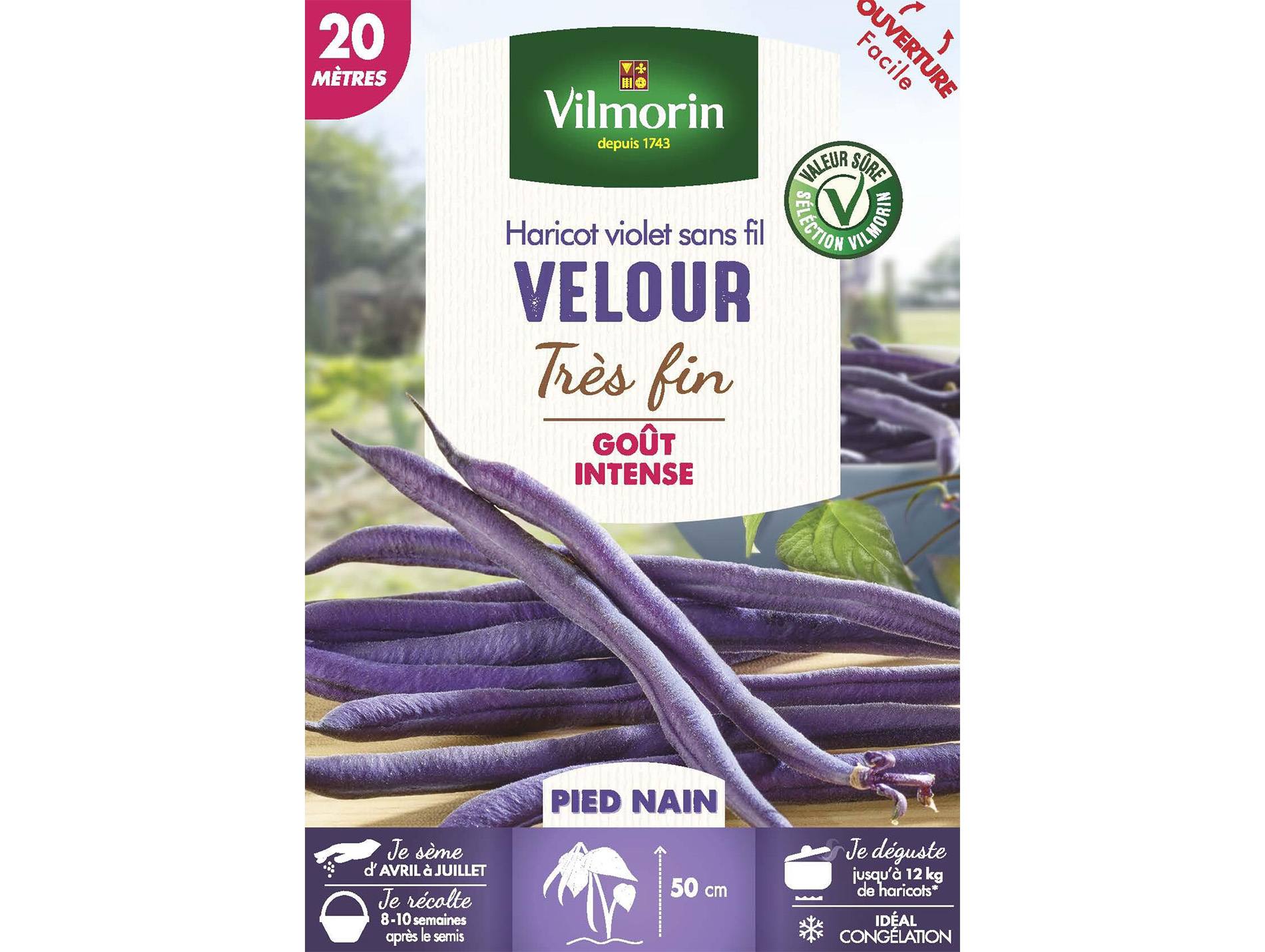 Haricot nain vert Violet Velour VILMORIN Série 20M