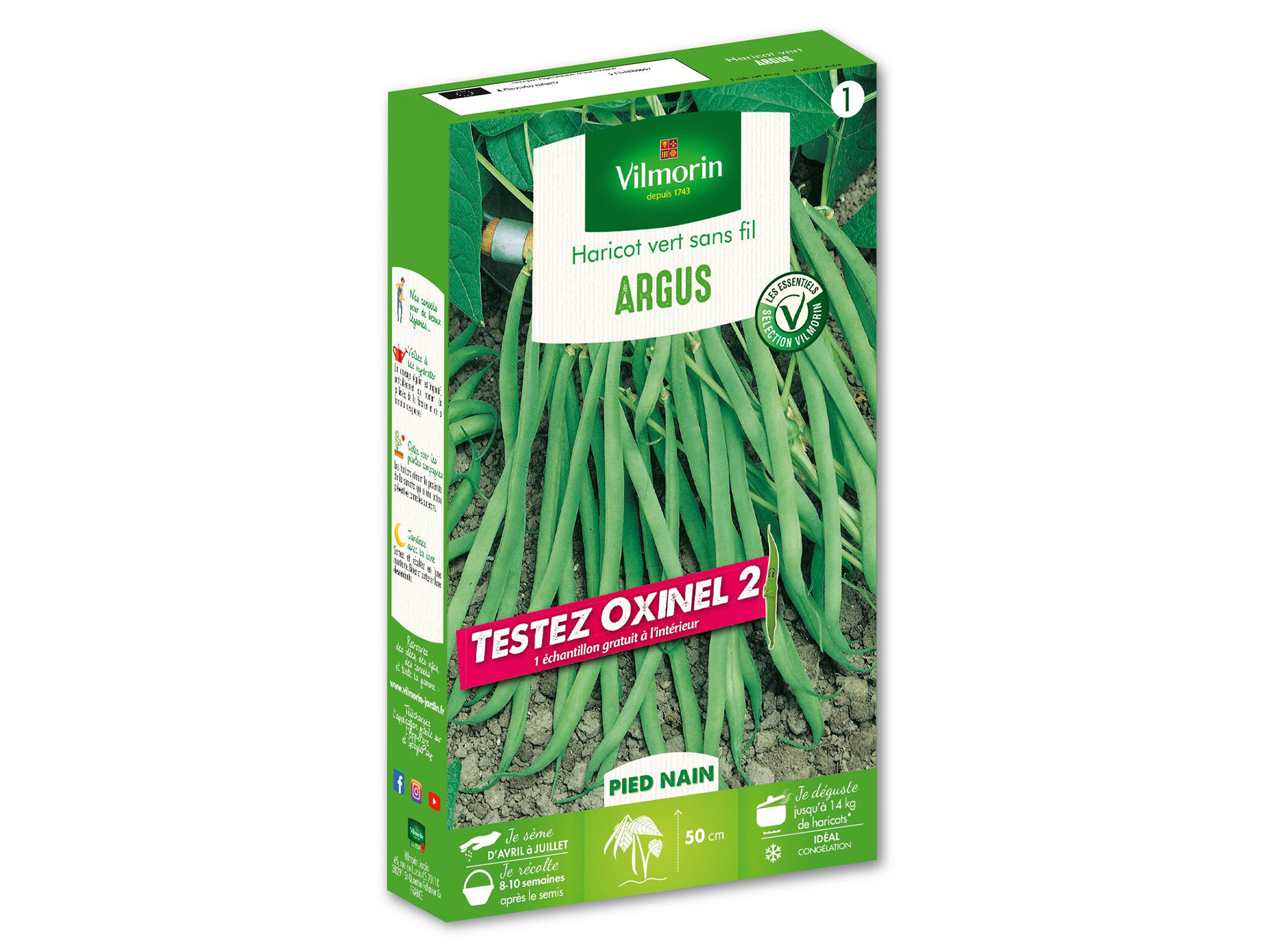 Haricot nain vert Argus VILMORIN Série 1 + échantillon Oxinel 2