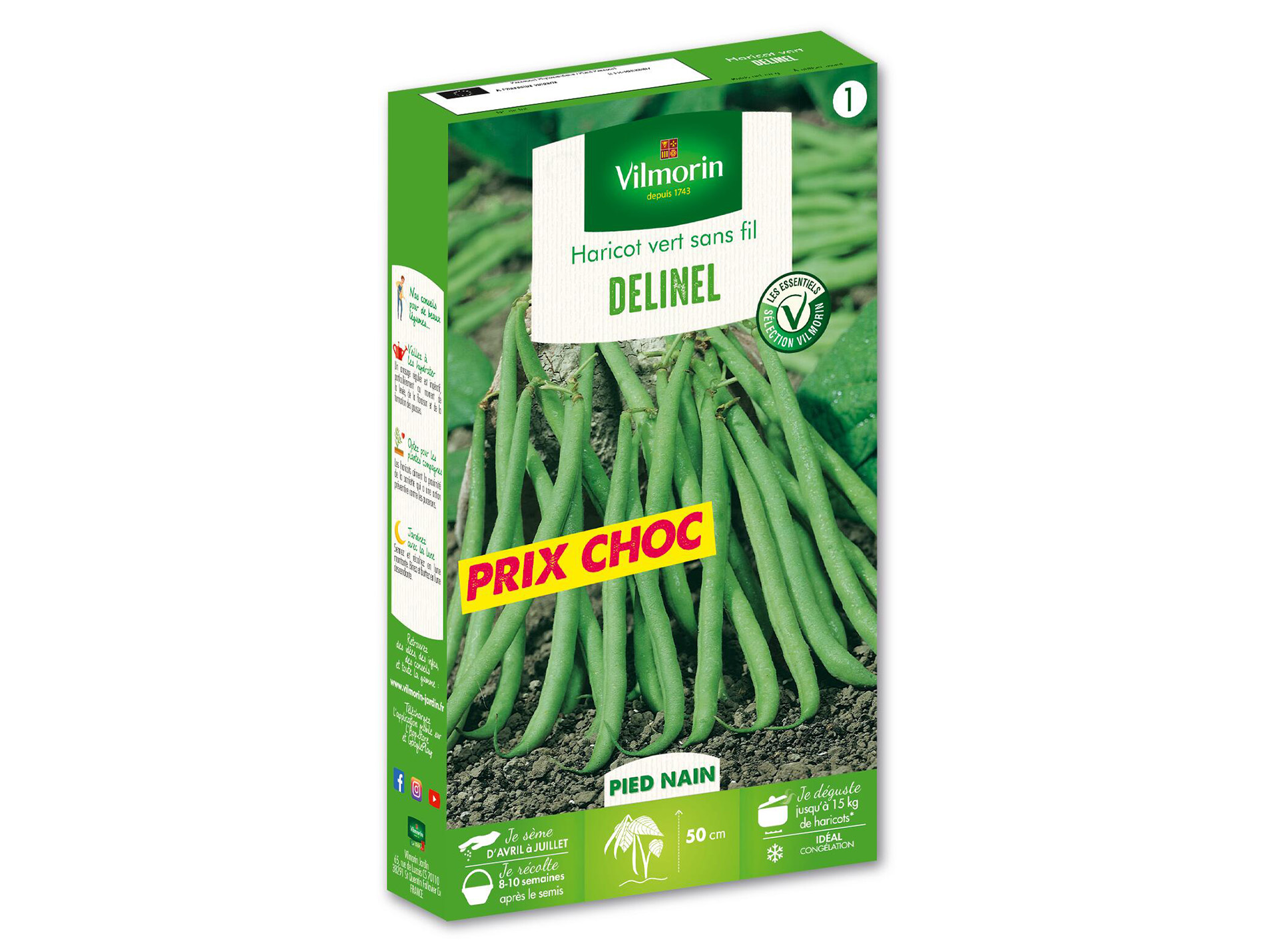 Haricot nain vert Delinel VILMORIN Série 1