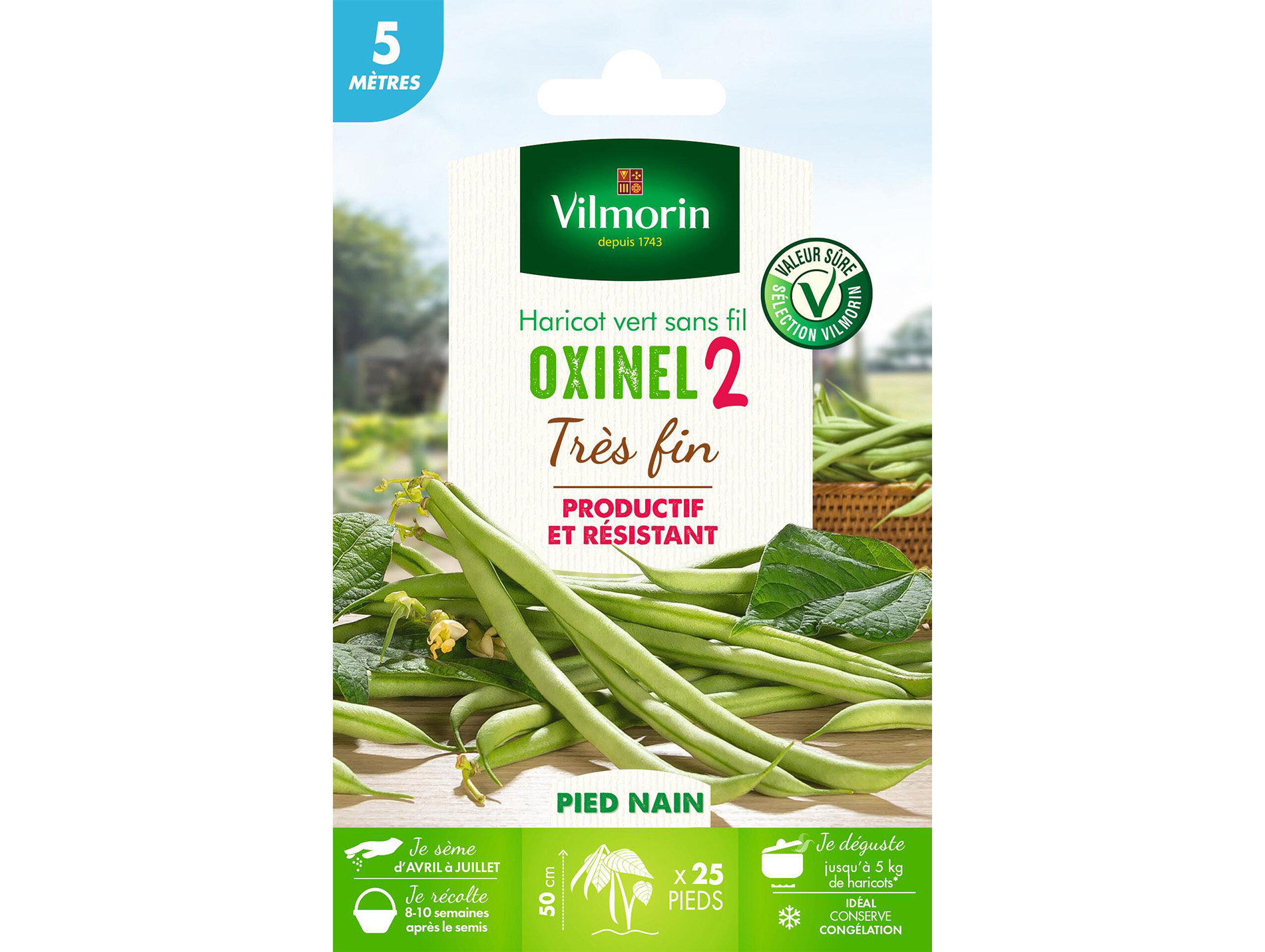 Haricot nain vert Oxinel 2 VILMORIN Série 2