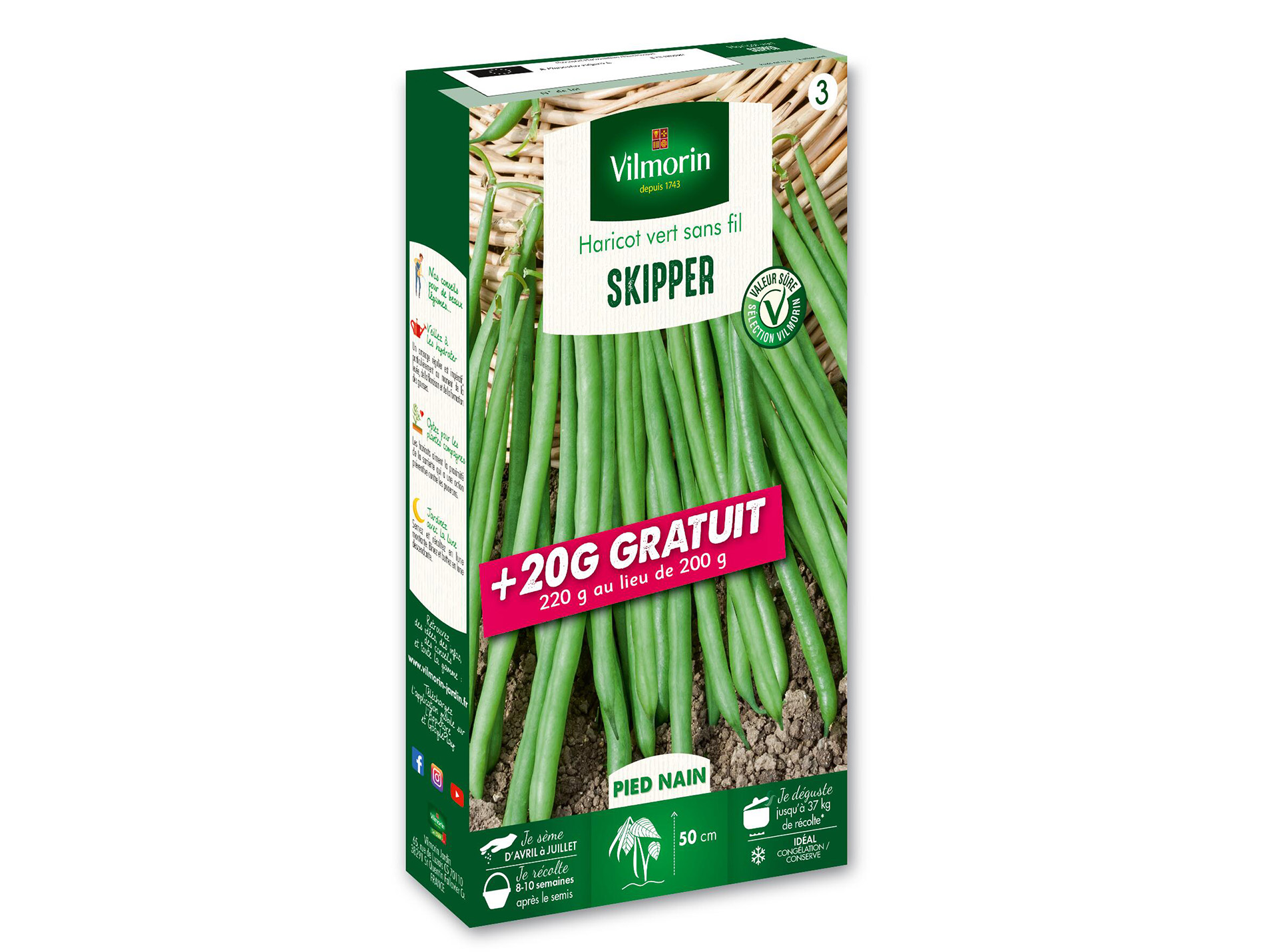Haricot nain vert Skipper VILMORIN Série 3 +20g gratuit