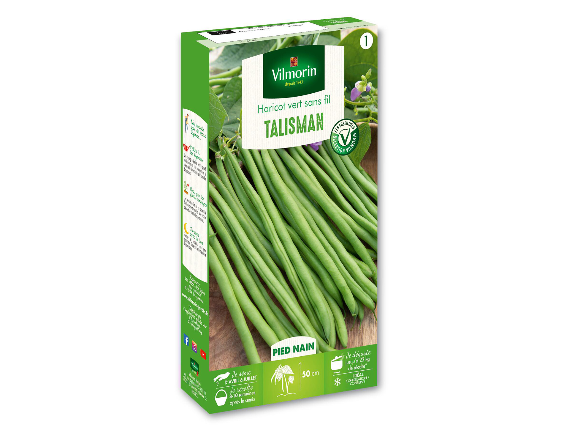Haricot nain vert Talisman VILMORIN Série 1