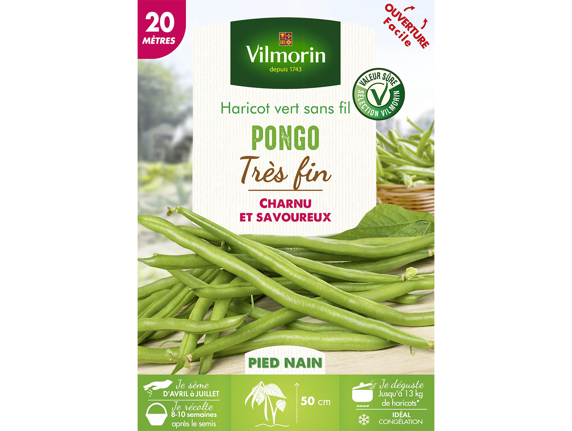 Haricot nain vert Pongo VILMORIN Série 20M