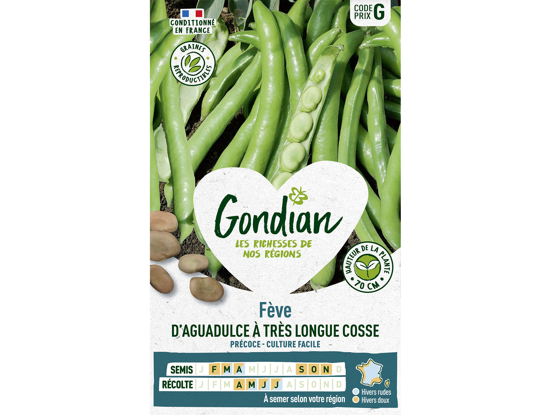 Fève d'Aguadulce à Très Longue Cosse GONDIAN Série G 500g