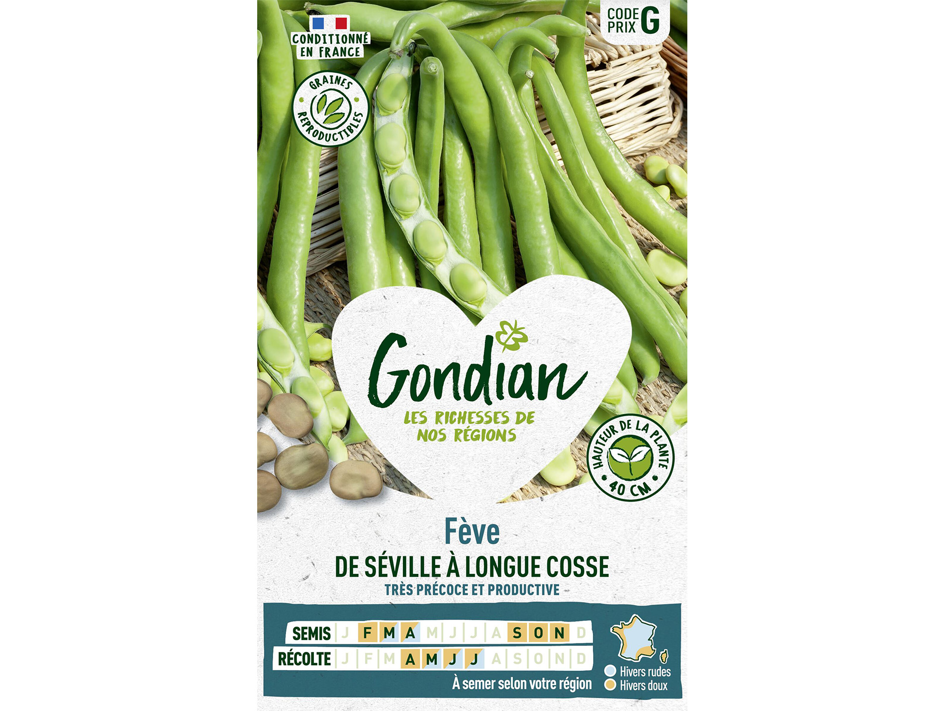 Fève de Séville à Longue Cosse GONDIAN Série G 500g