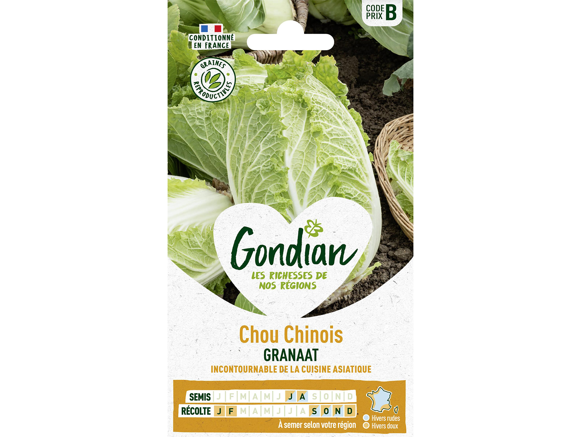 Chou Chinois Granaat GONDIAN Série B