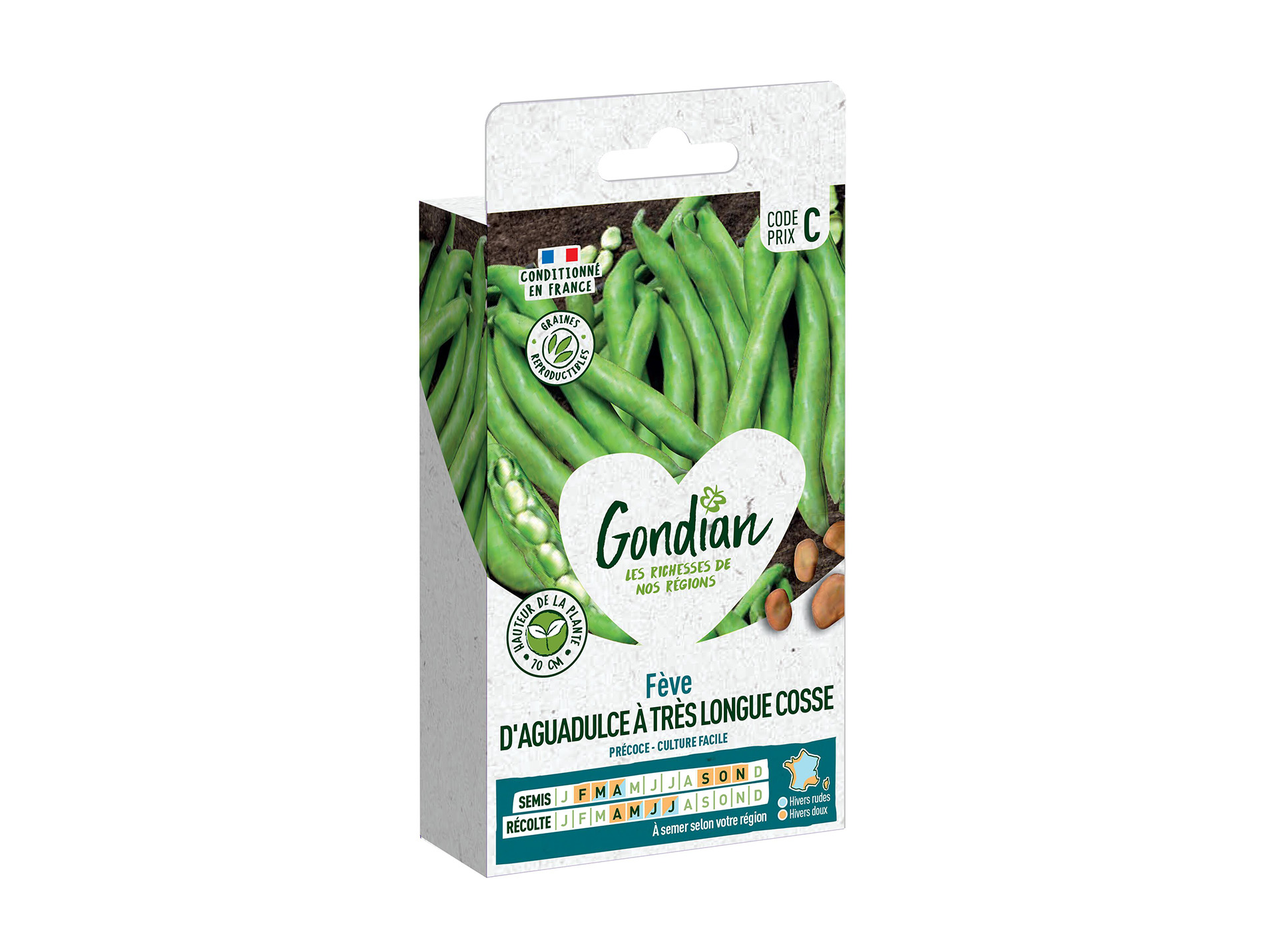 Fève d'Aguadulce à Très Longue Cosse GONDIAN Série C