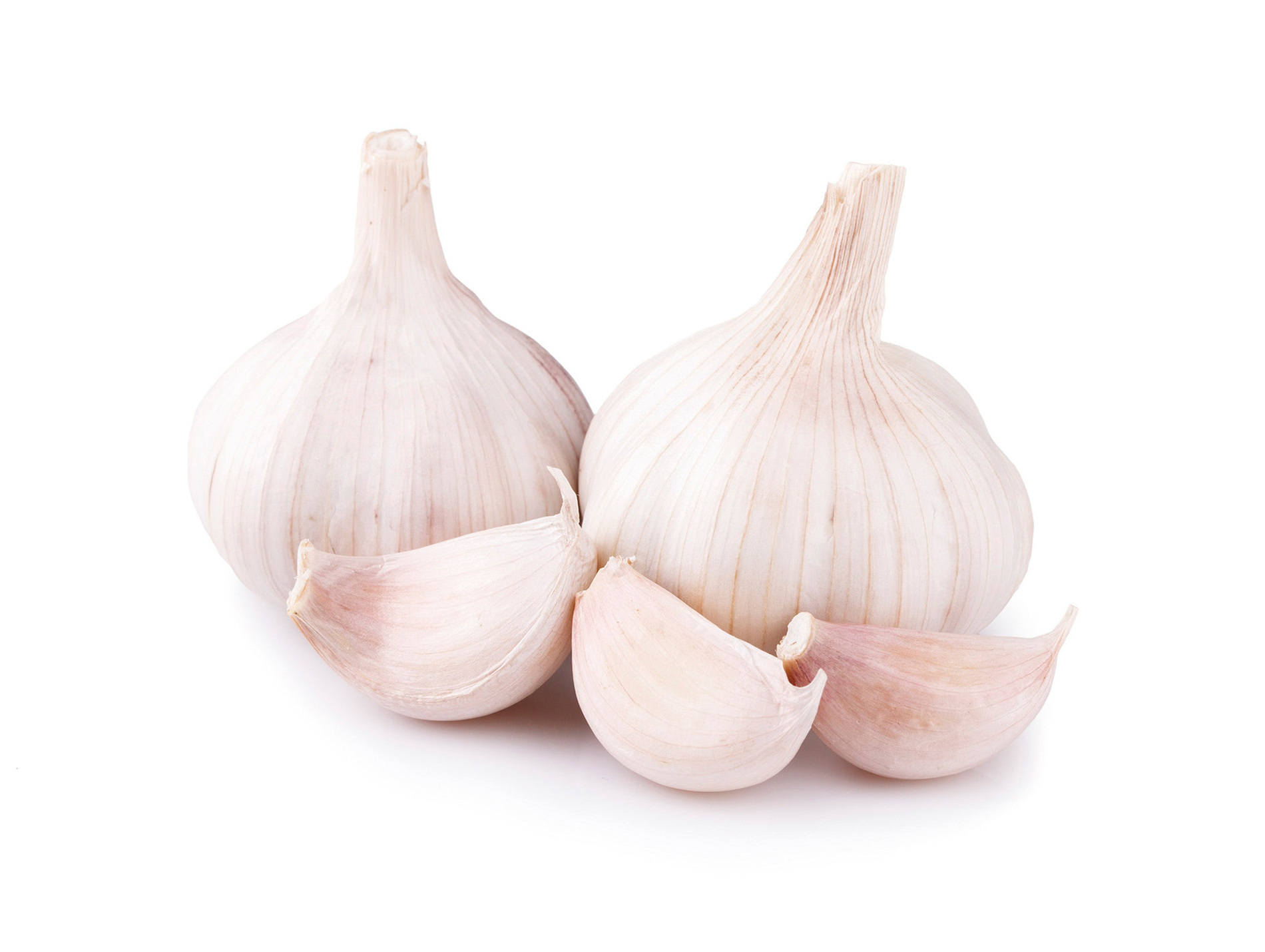 Bulbes ail rose Eden Rose 250g