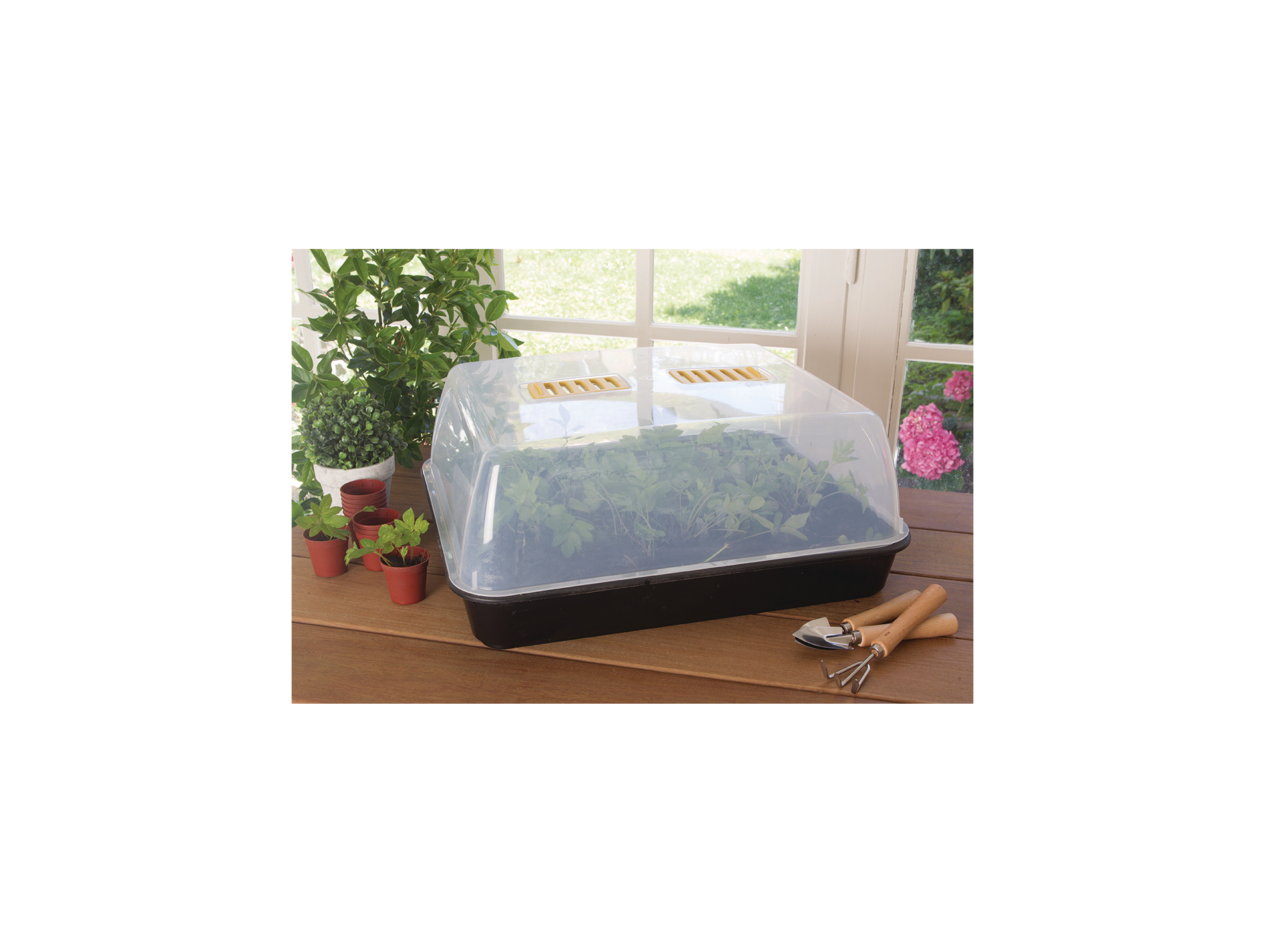 Mini serre pour semis NORTENE Rapid Grow L.52 x l.42 x H.23cm