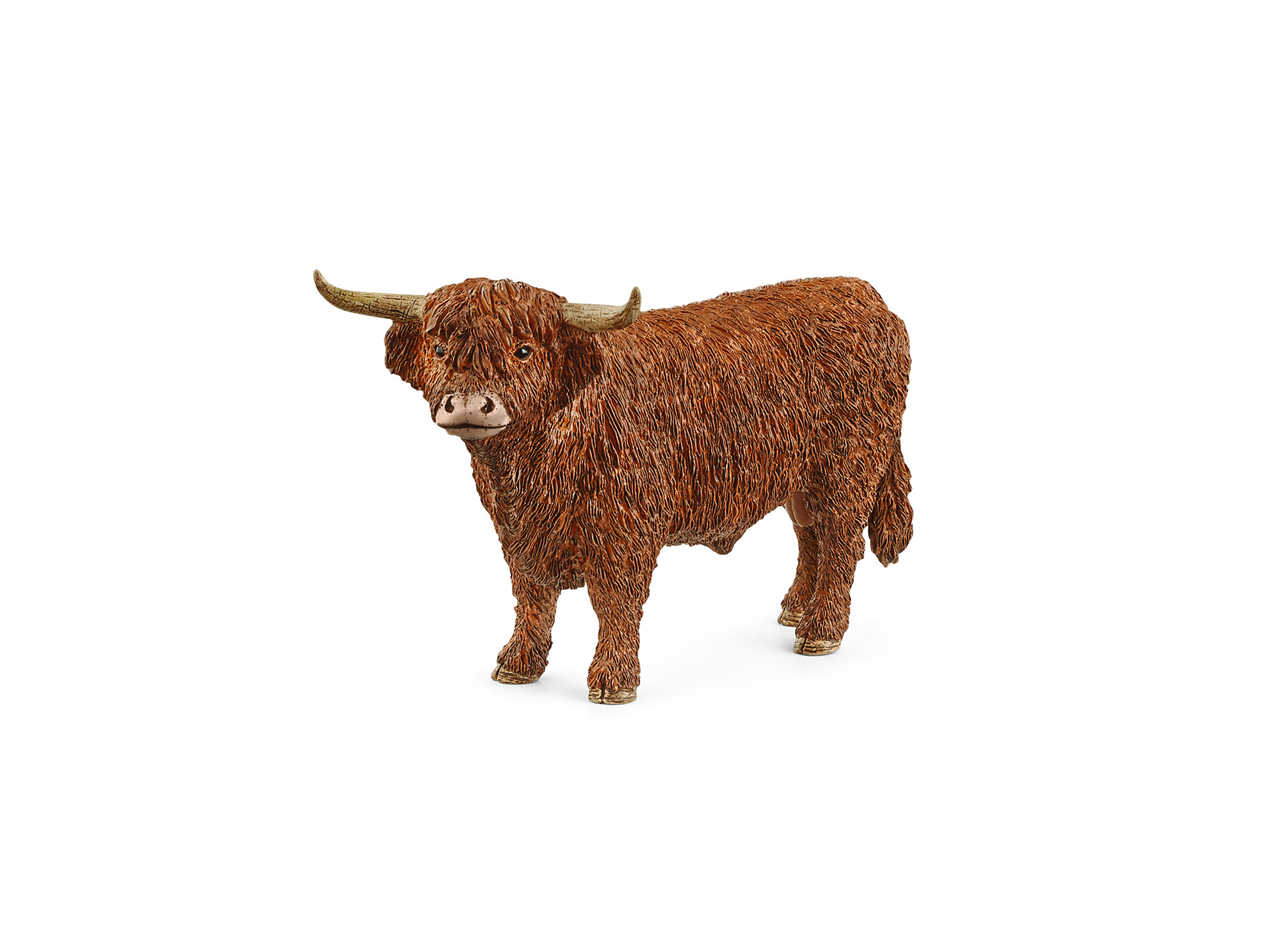 Figurine Taureau Highland SCHLEICH