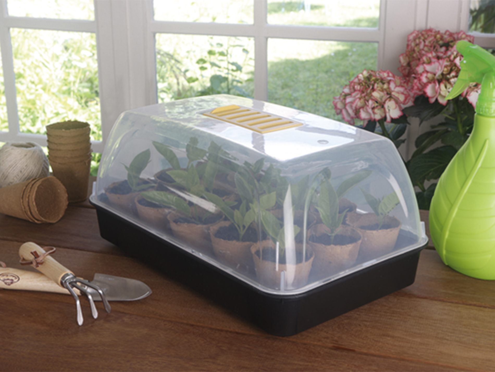 Mini-serre NORTENE pour semis Rapid Grow