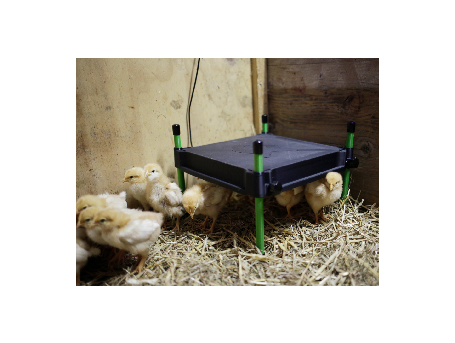 Plaque chauffante CosyHeat 24V
