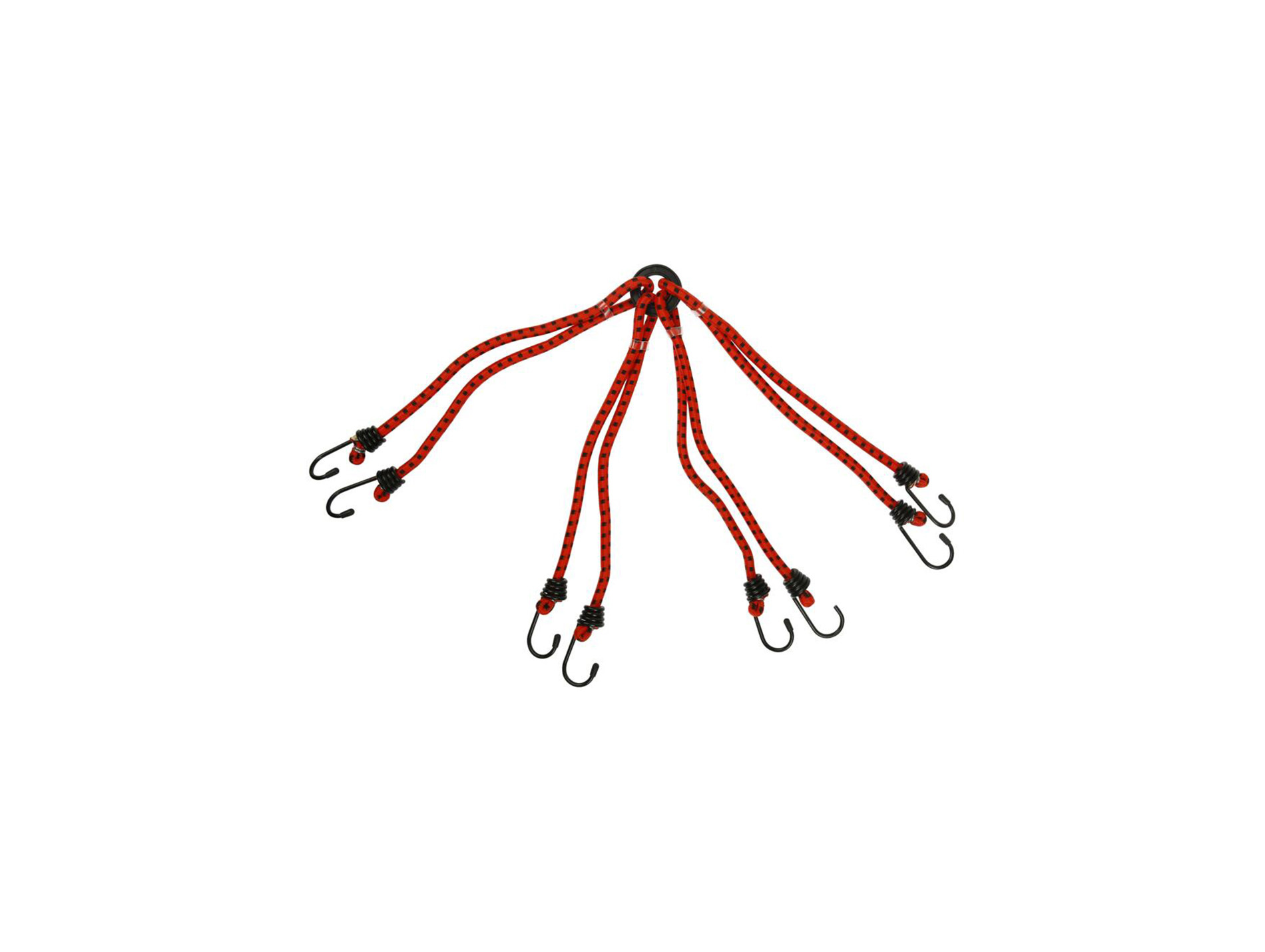 Tendeur araignée QUALITECH 60cm Ø8mm 3 couleurs assorties