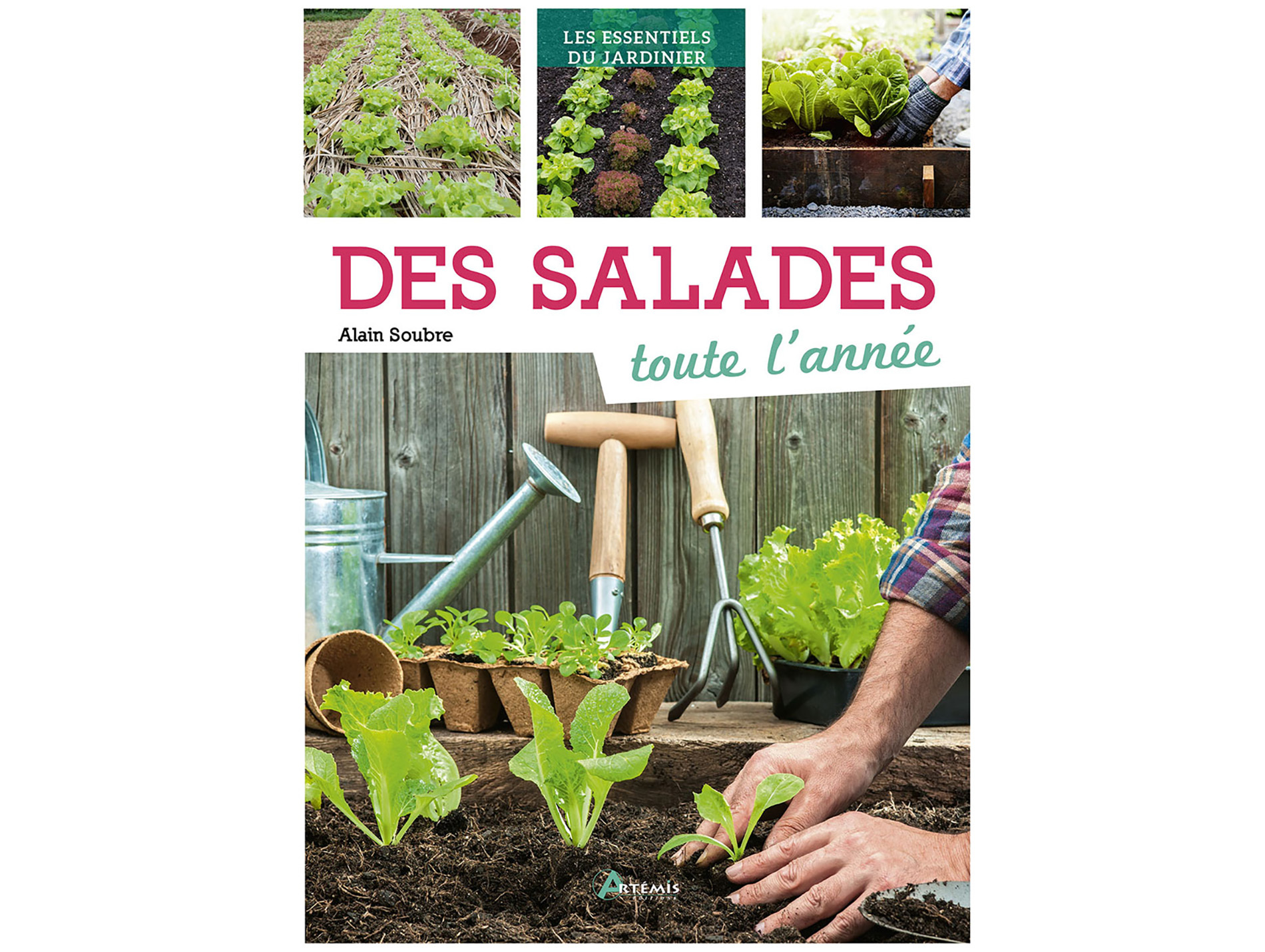 Cultiver des salades toute l'année ARTEMIS