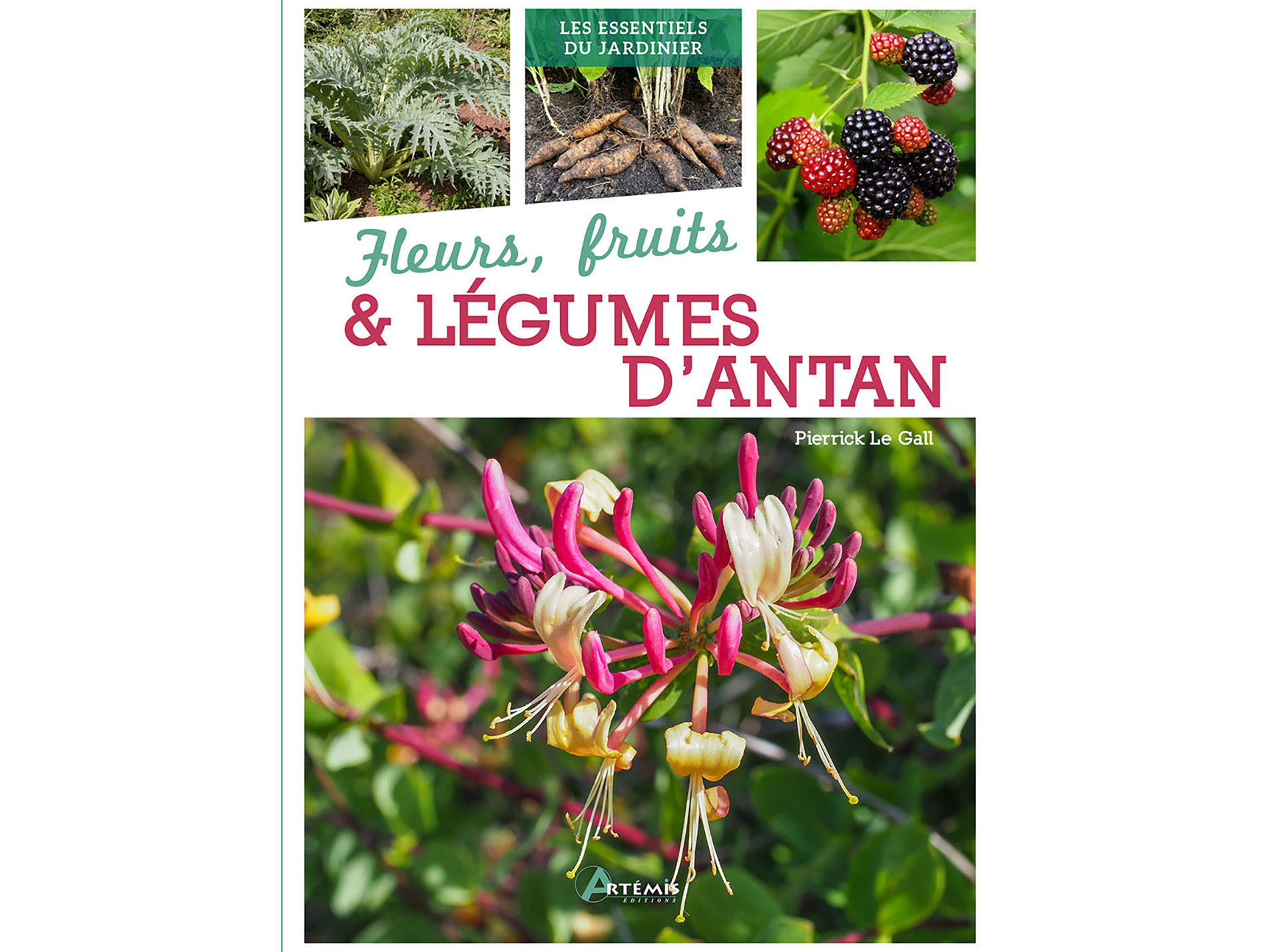 Guide sur les fleurs, fruits et légumes d'antan ARTEMIS