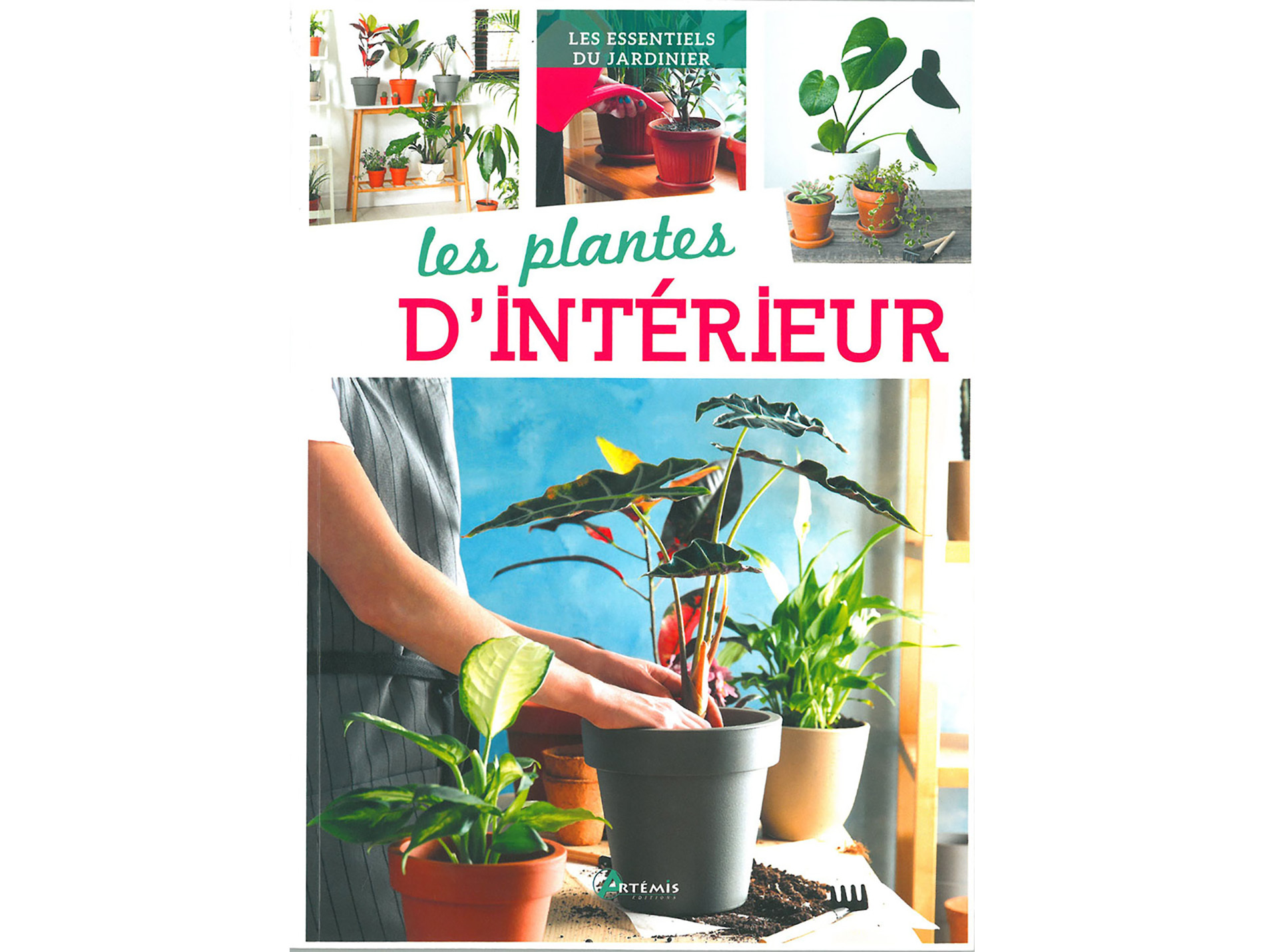Guide sur les plantes d'intérieur ARTEMIS