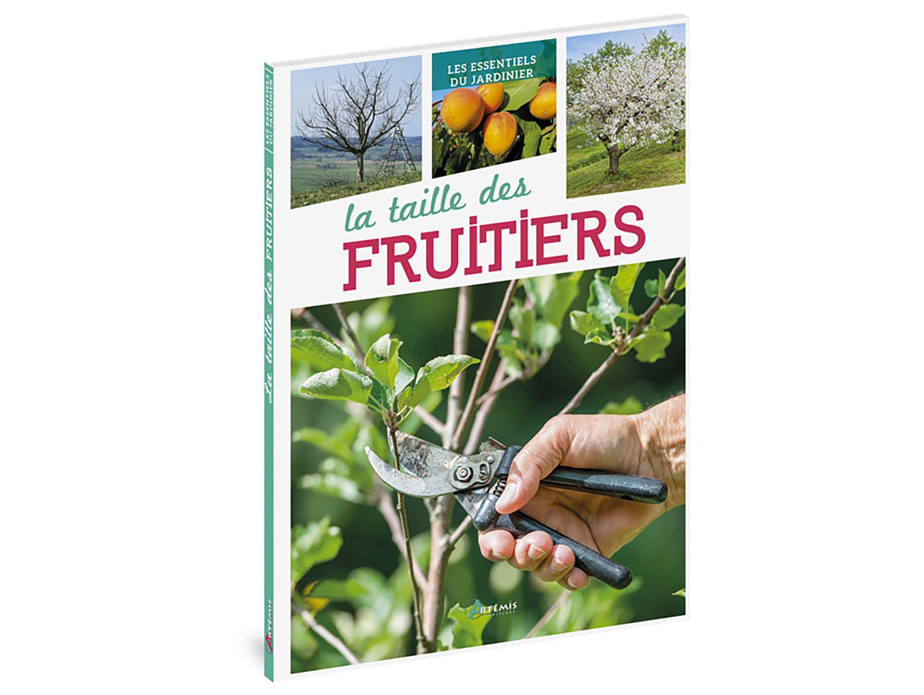 Guide sur la taille des fruitiers ARTEMIS