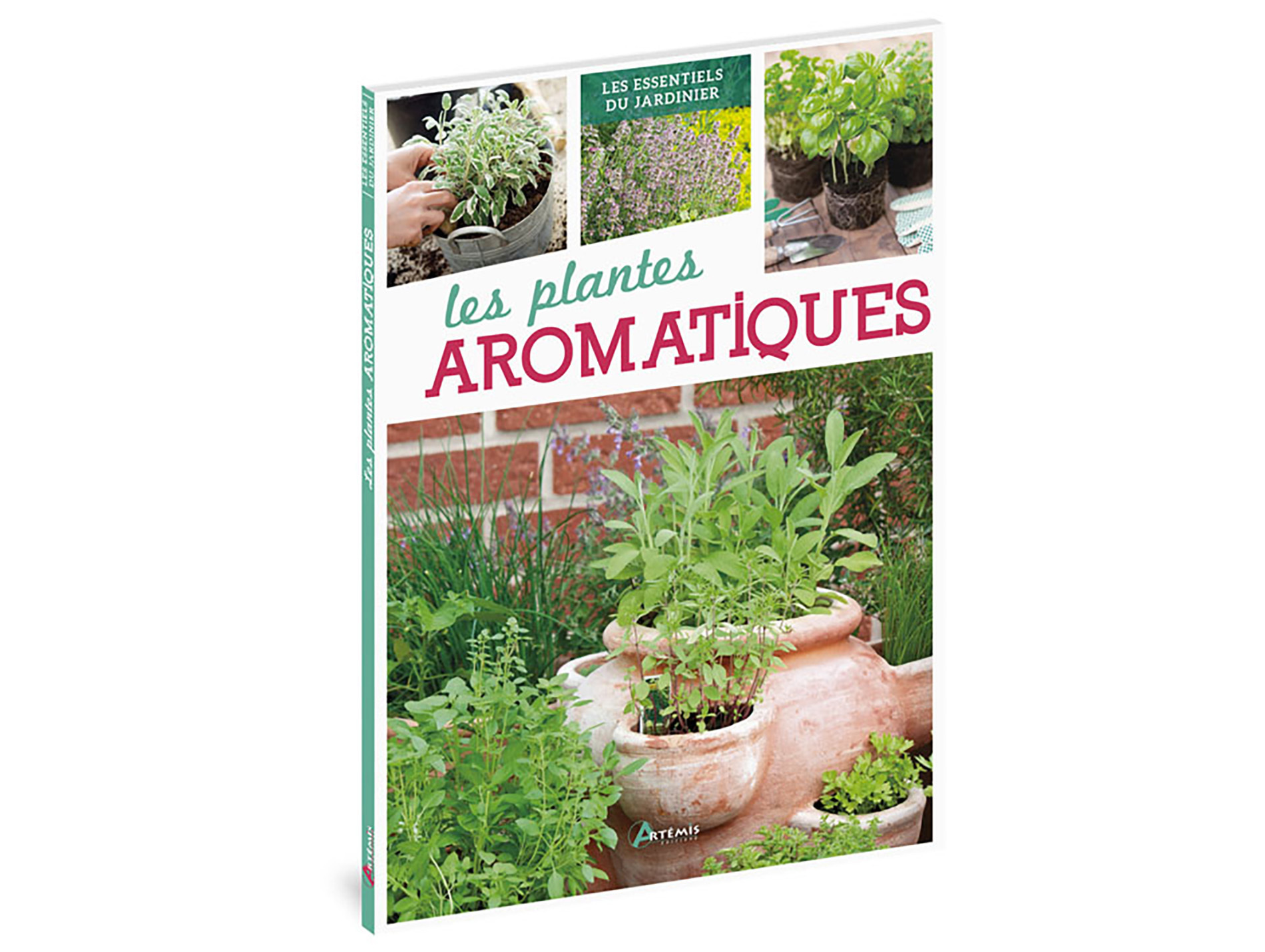 Les plantes aromatiques ARTEMIS
