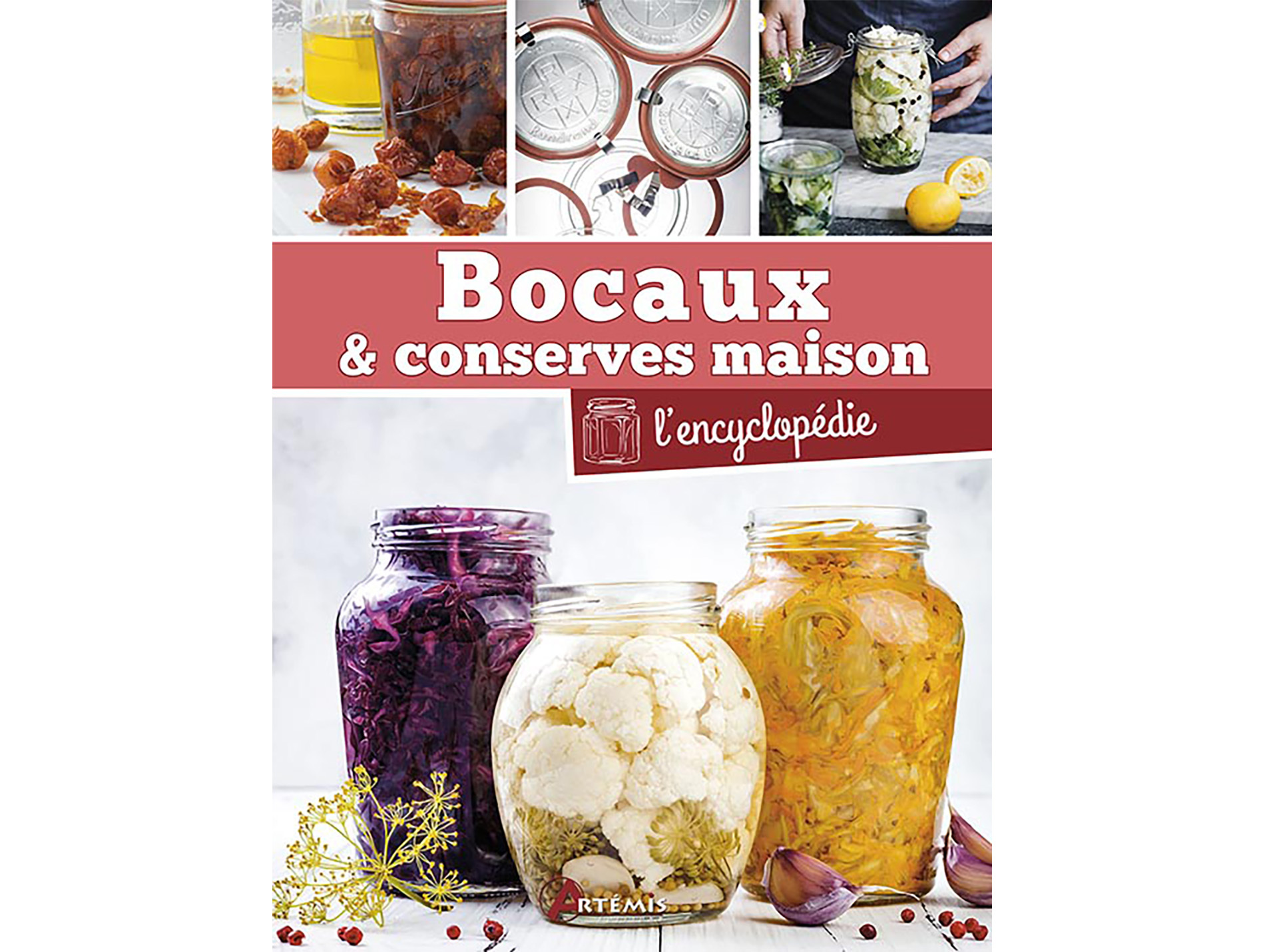 Le guide des conserves maison, 150 recettes illustrées ARTEMIS
