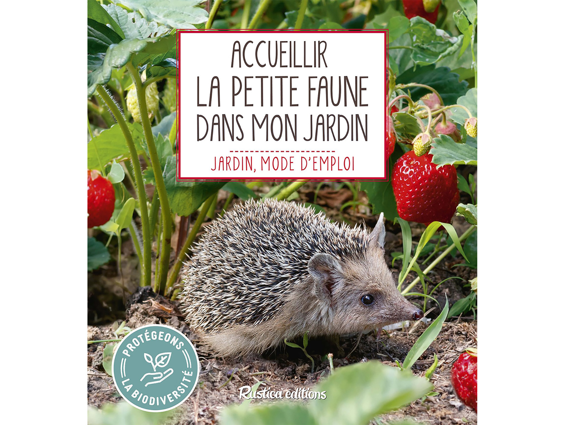 Mode d'emploi pour accueillir la petite faune dans mon jardin