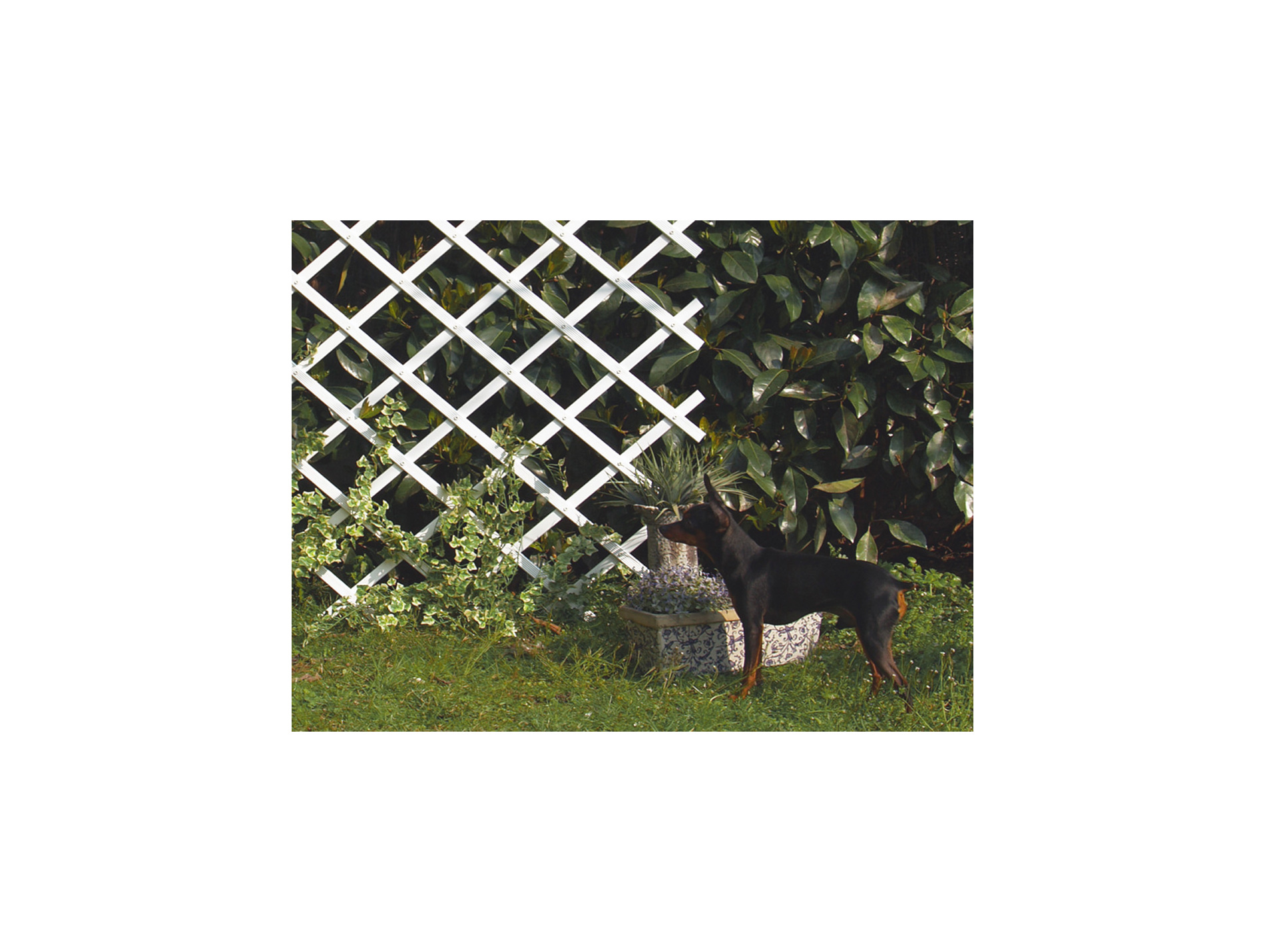 Treillis PVC Treilliflex 0,50 x 1,50 m blanc