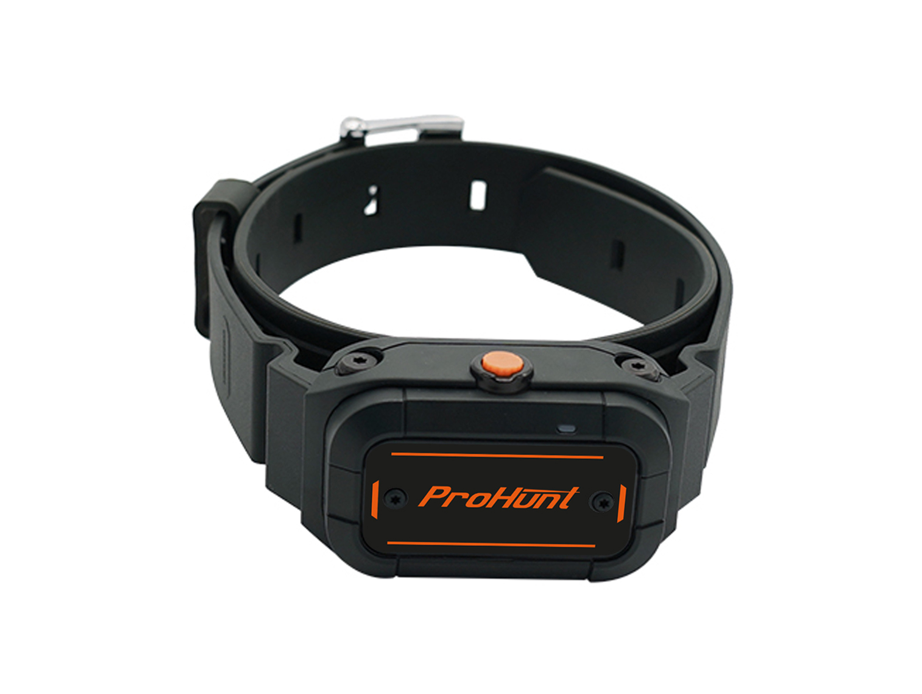 Collier additionnel de dressage