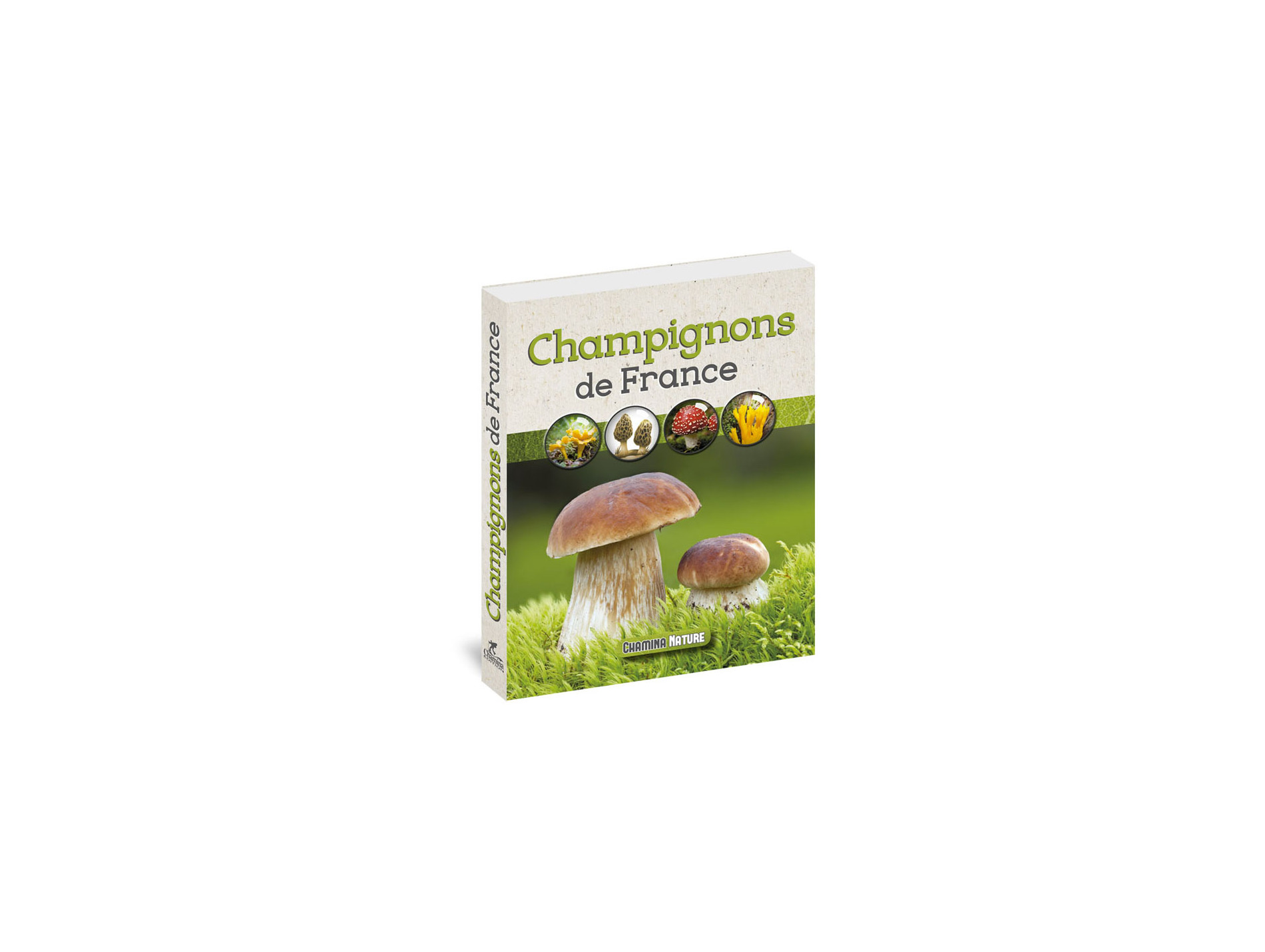Les champignons de France édition CHAMINA NATURE