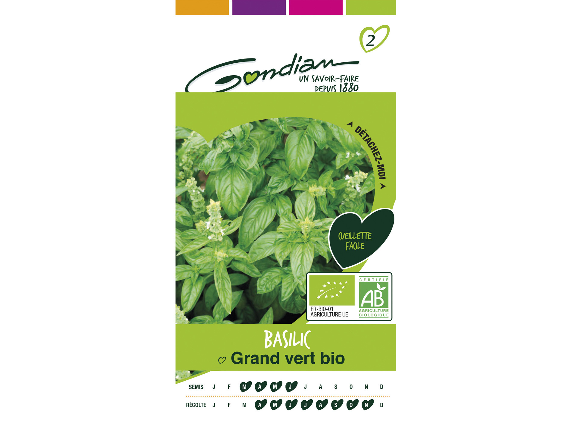 Graines basilic bio GONDIAN