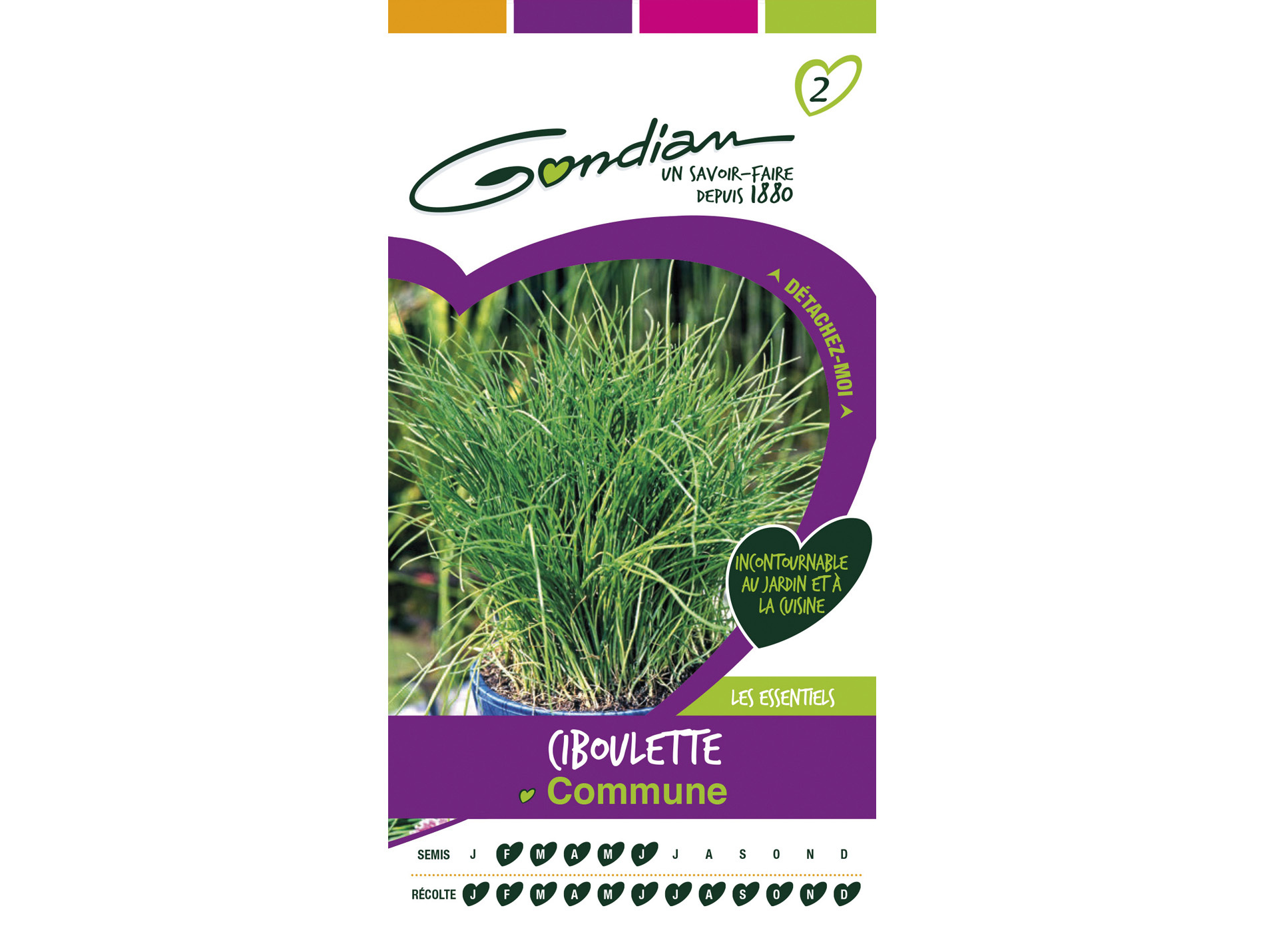 Semences ciboulette bio GONDIAN