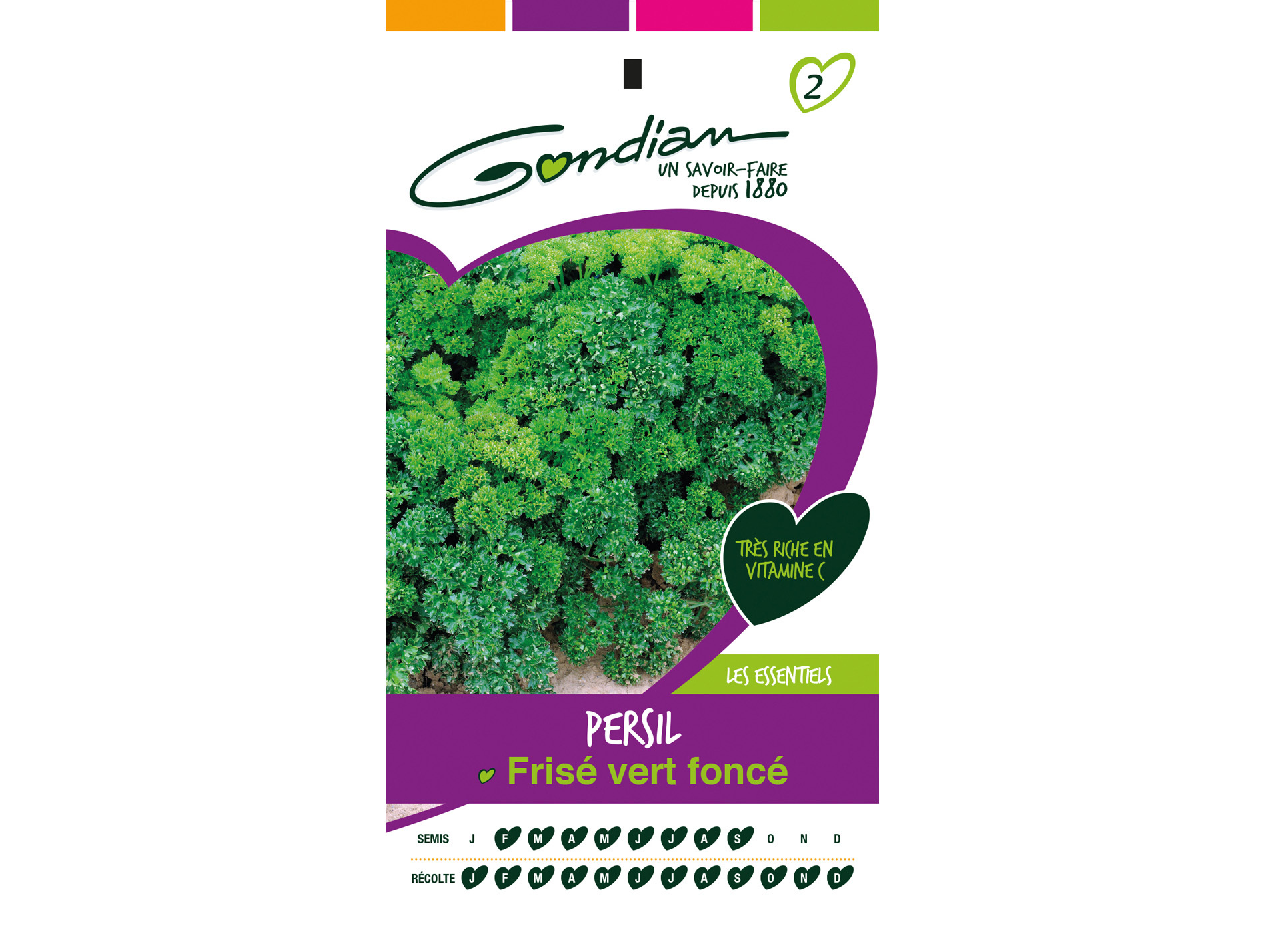 Graines persil à feuilles frisées bio GONDIAN