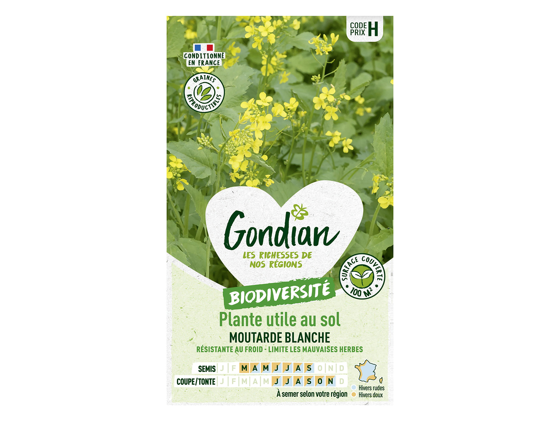 Graines de moutarde GONDIAN blanche 100m²