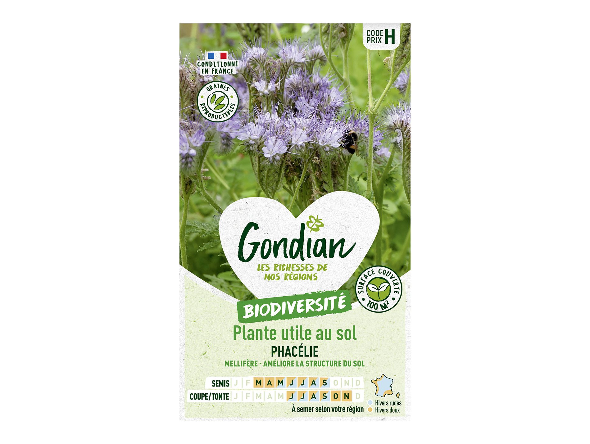 Graines de phacélie GONDIAN 100m²