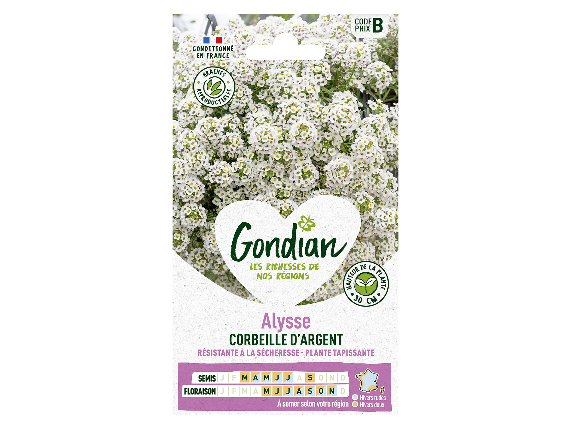 Alysse corbeille argent GONDIAN Série B