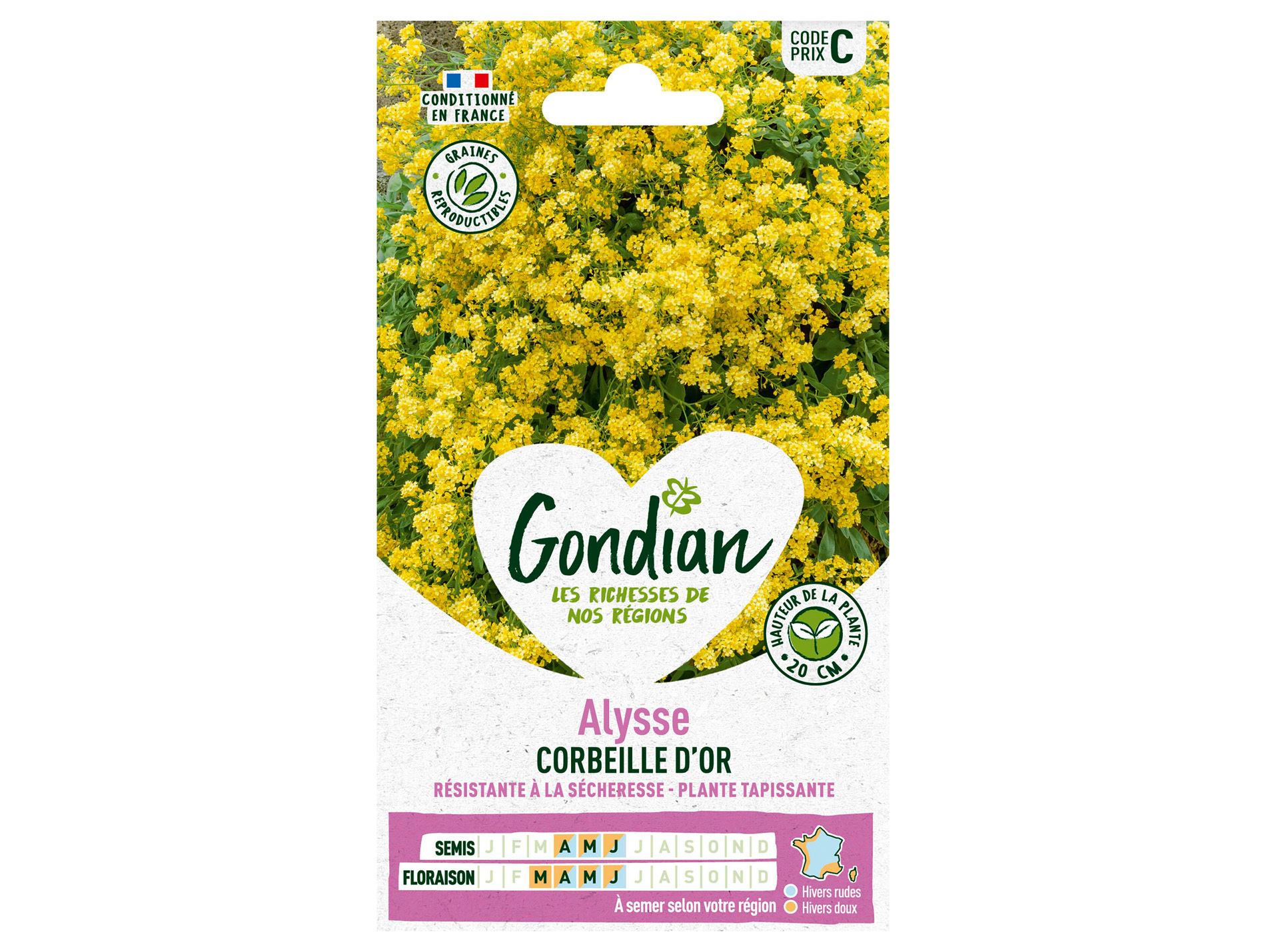 Alysse corbeille or GONDIAN Série C