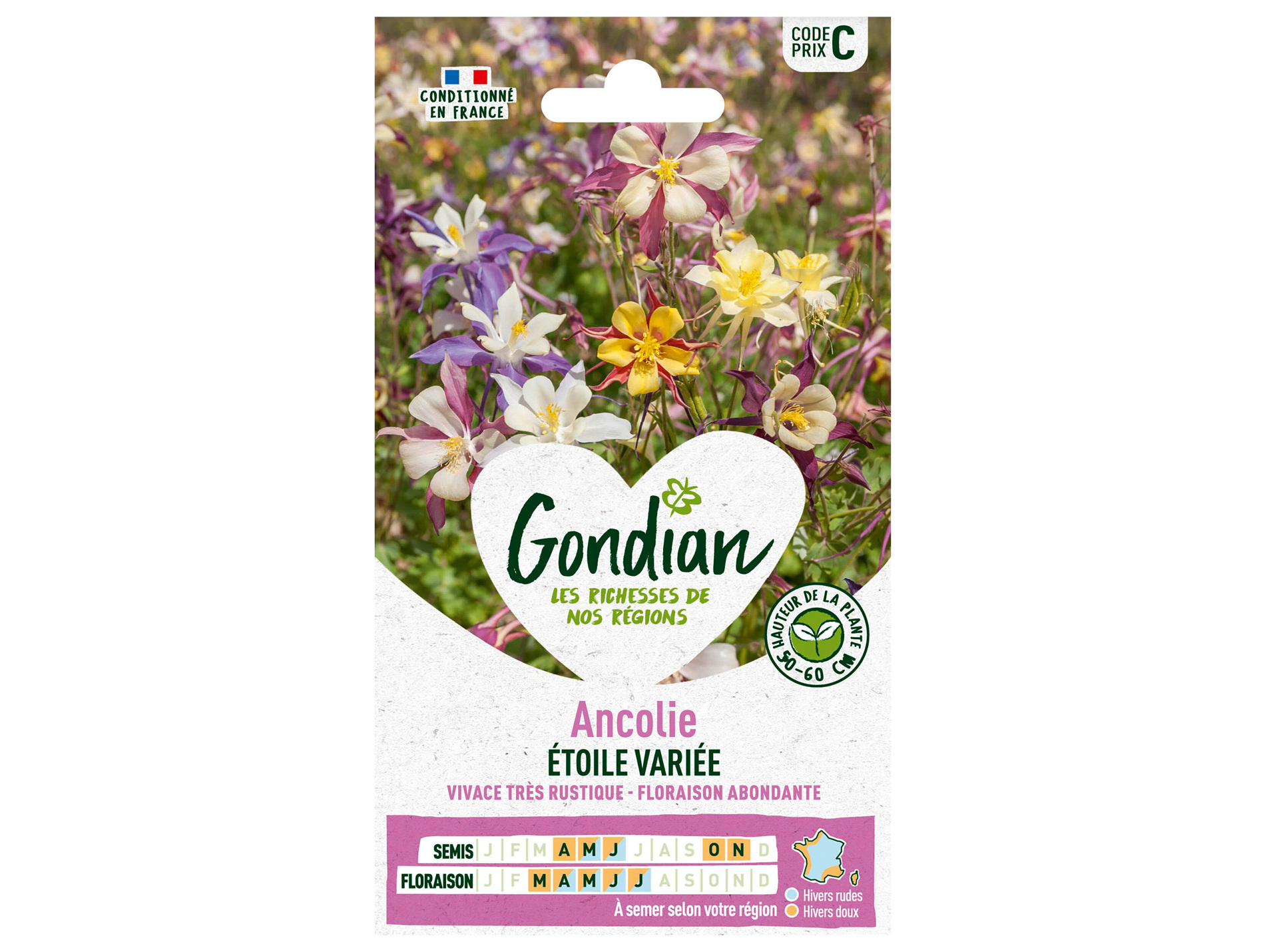 Ancolie étoilée variée HF1 GONDIAN Série C