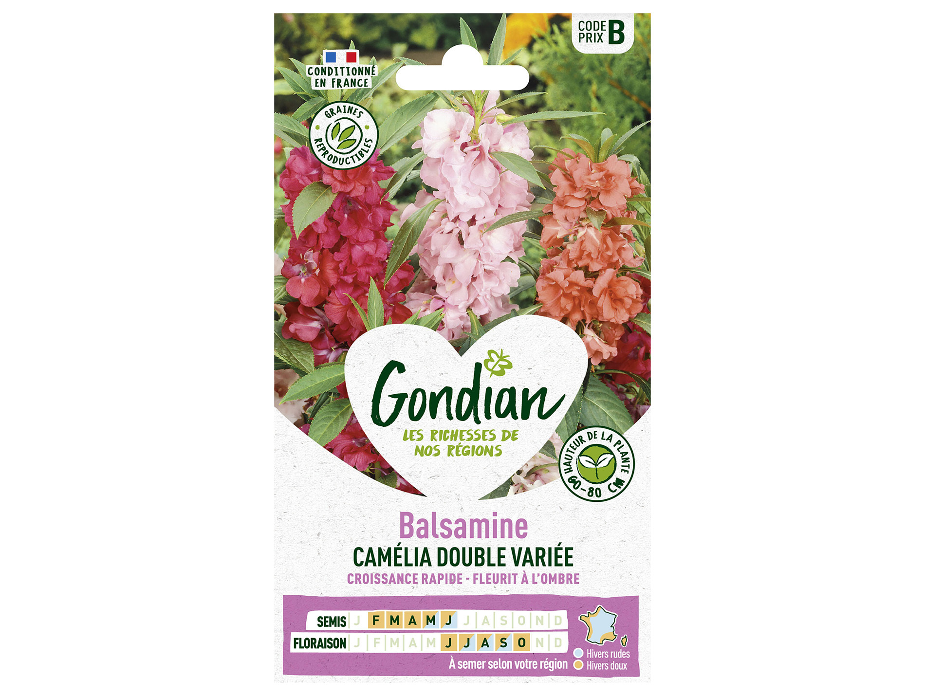 Balsamine à fleur de camélia double variée GONDIAN Série B