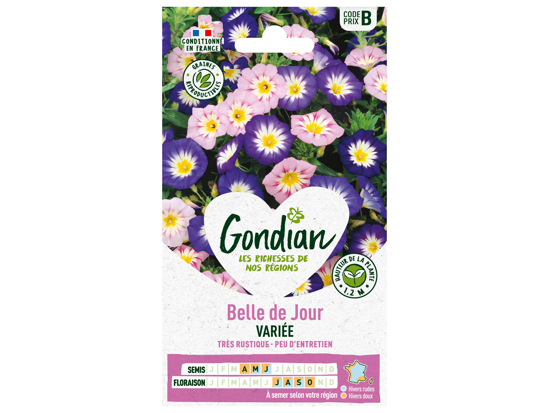 Belle de jour variée GONDIAN Série B