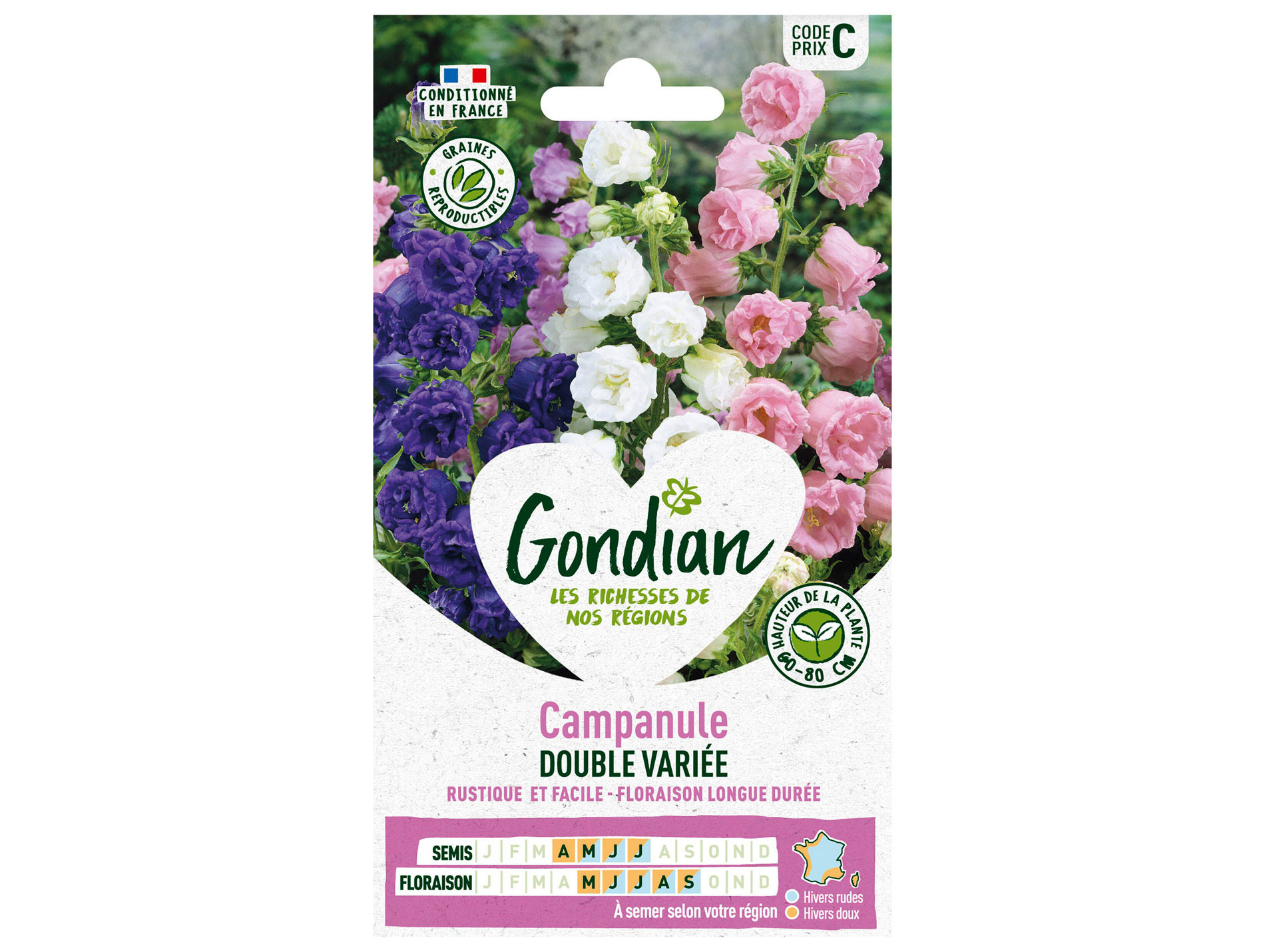 Campanule double à grande fleur variée GONDIAN Série C