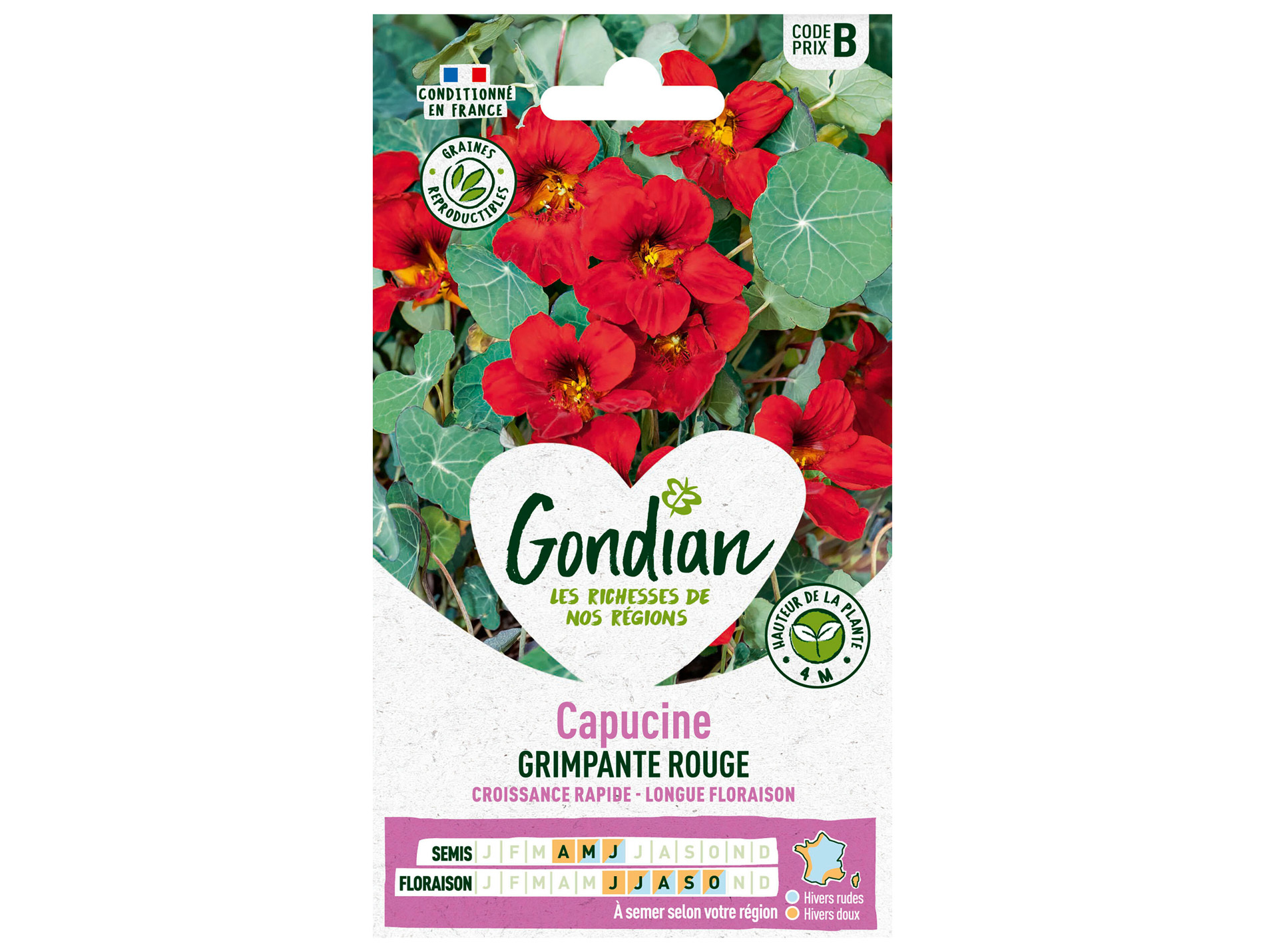Capucine grimpante rouge GONDIAN Série B