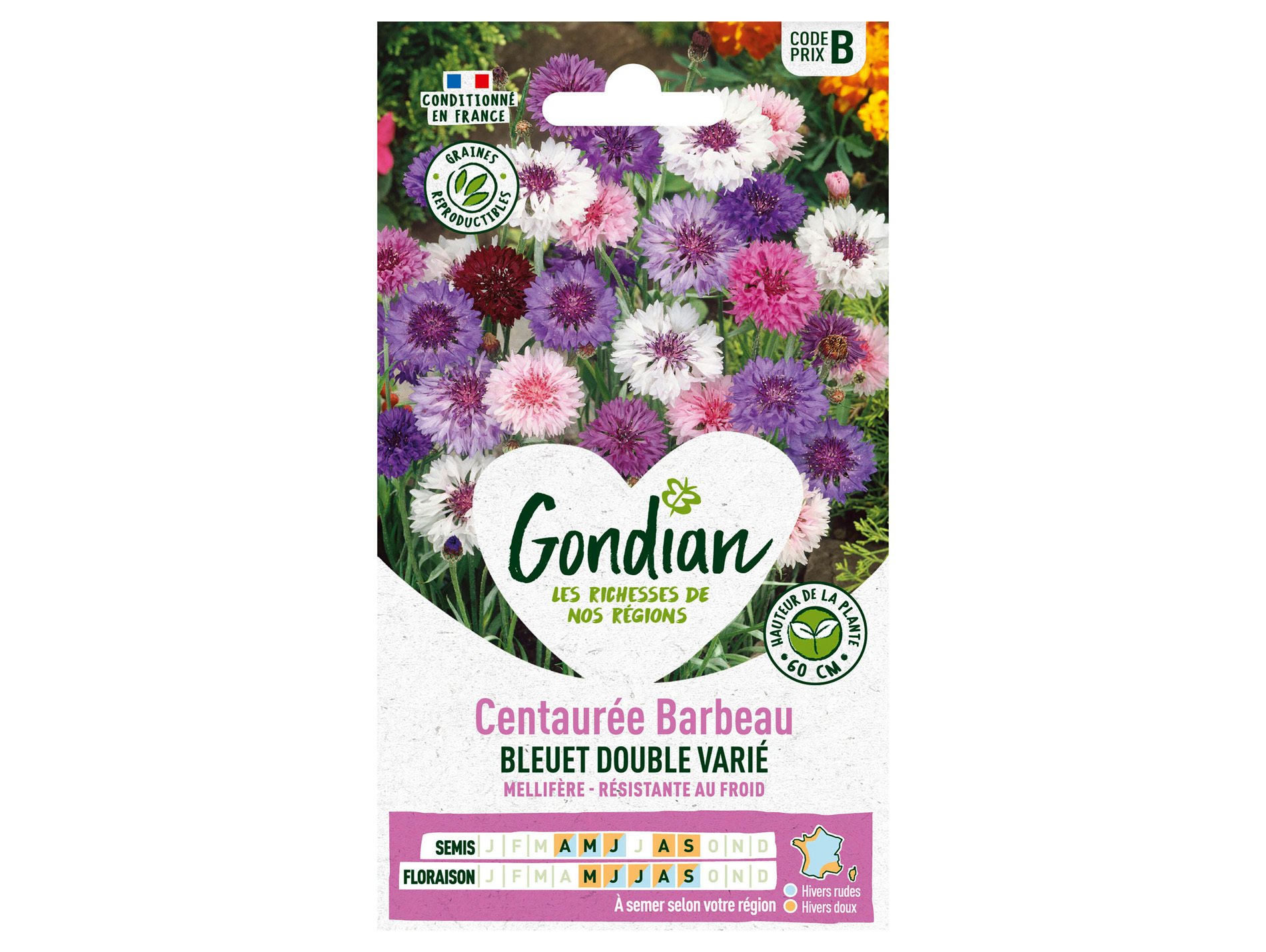 Centaurée bleuet double variée GONDIAN Série B