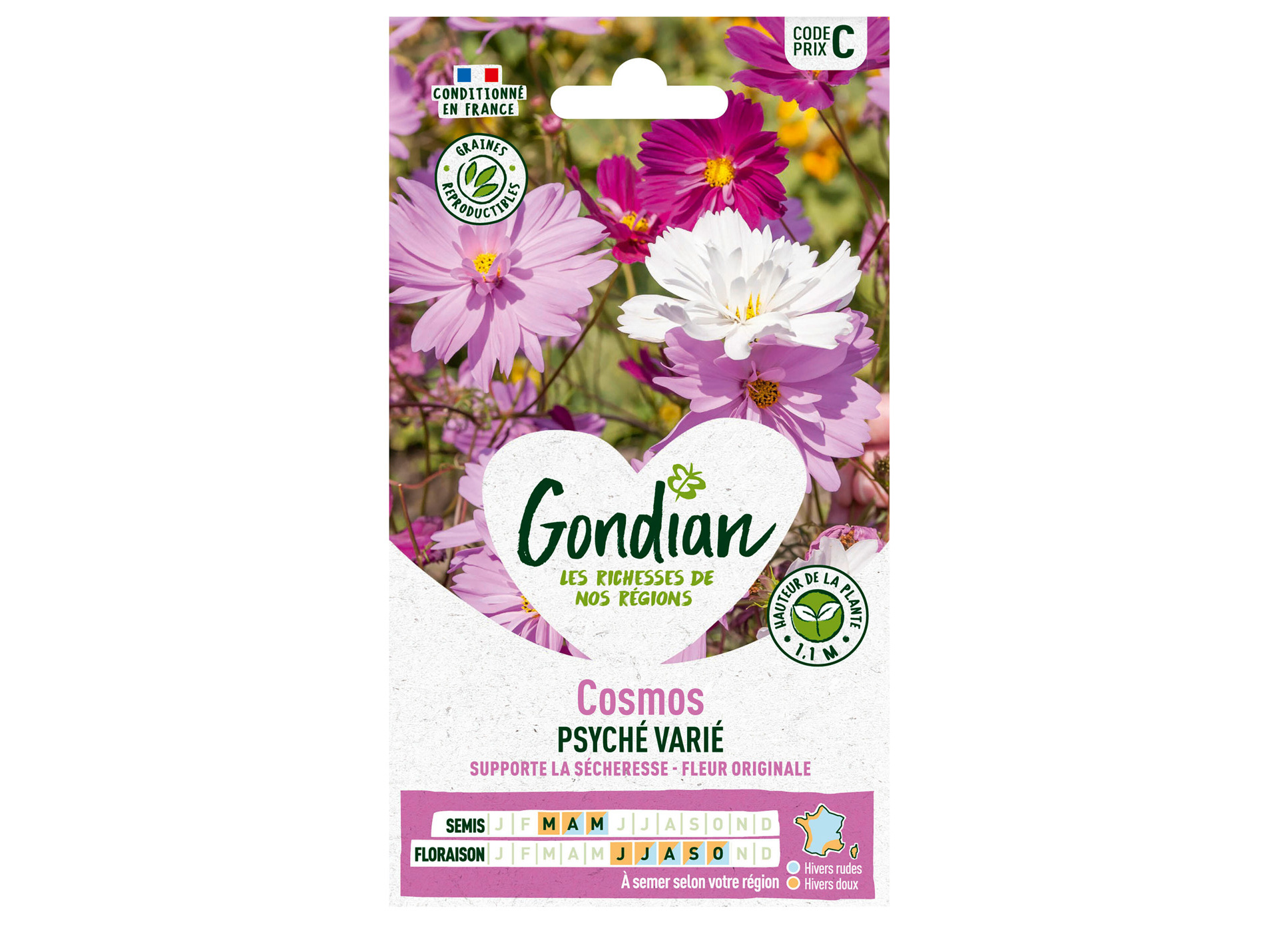 Cosmos psyché varié GONDIAN Série C