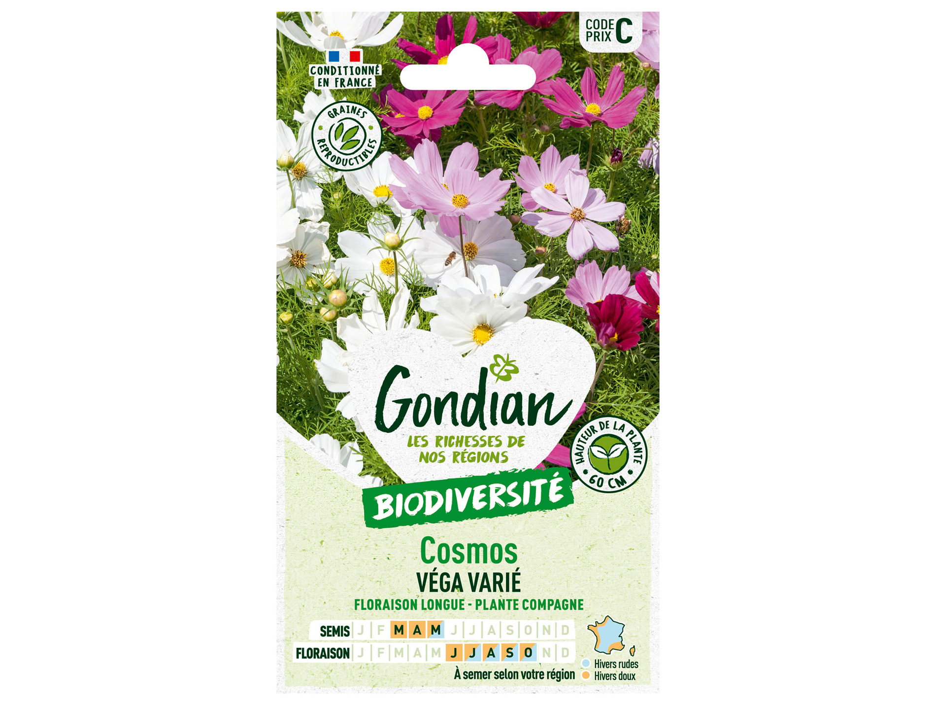 Cosmos Véga varié GONDIAN Série C