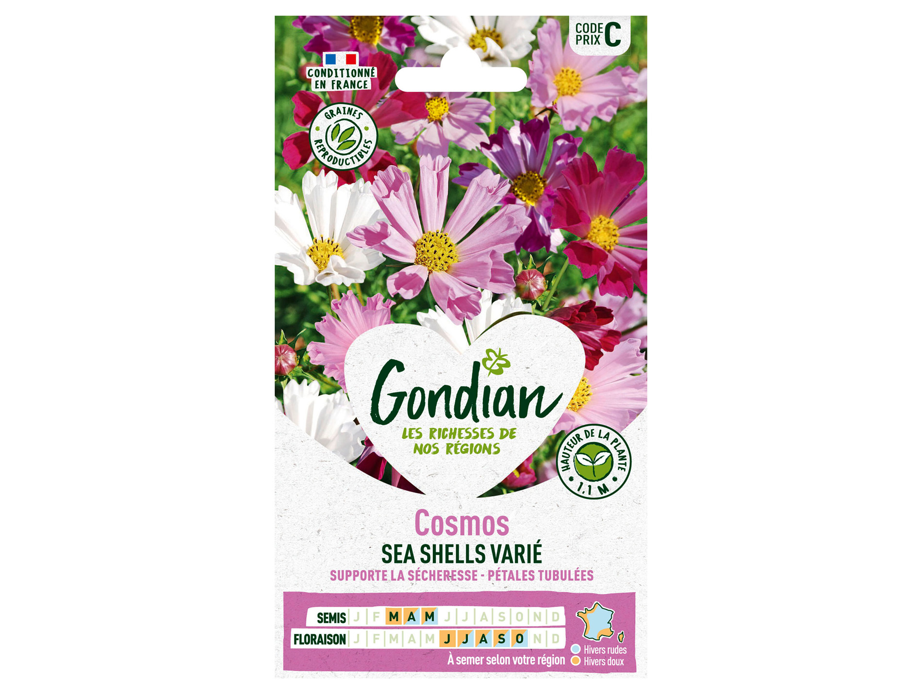 Cosmos Sea Shells varié GONDIAN Série C